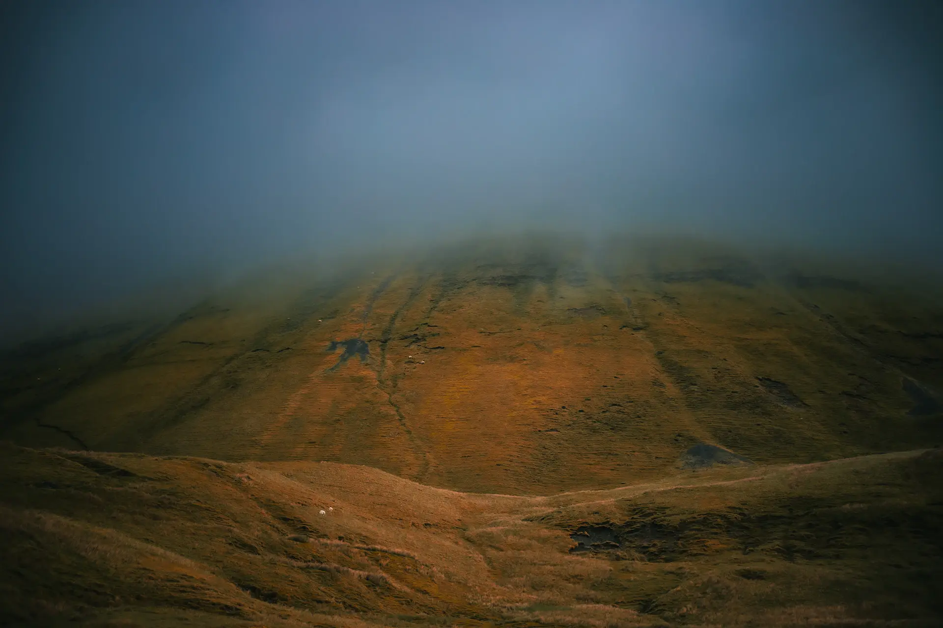 A wide wild landscape at the turn of the season