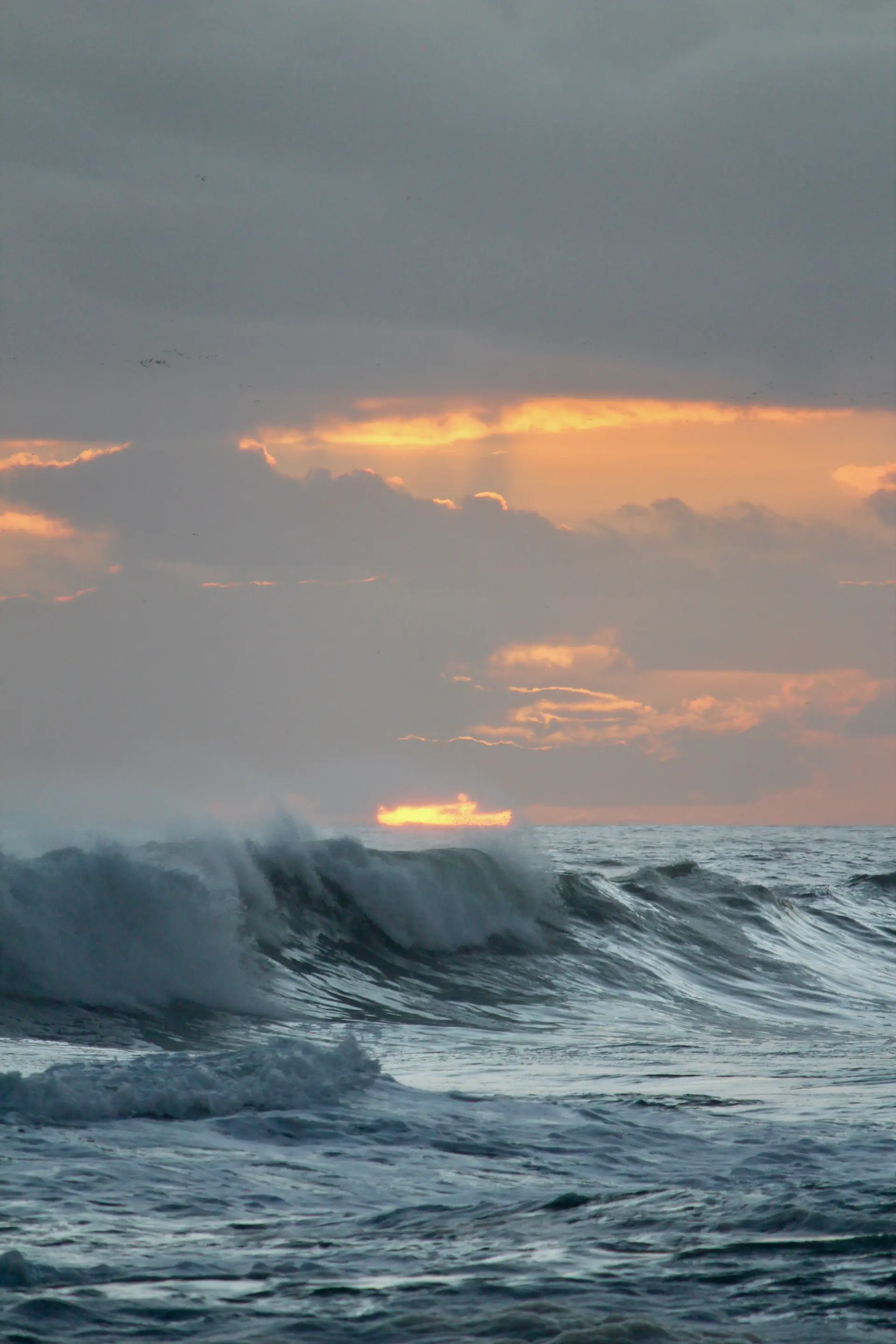 A private yacht crossing dramatic southern ocean swell