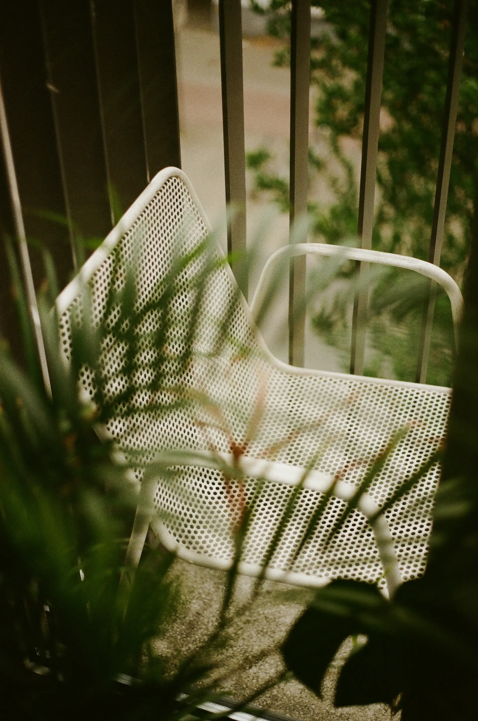 Balcony lounge surrounded by ferns