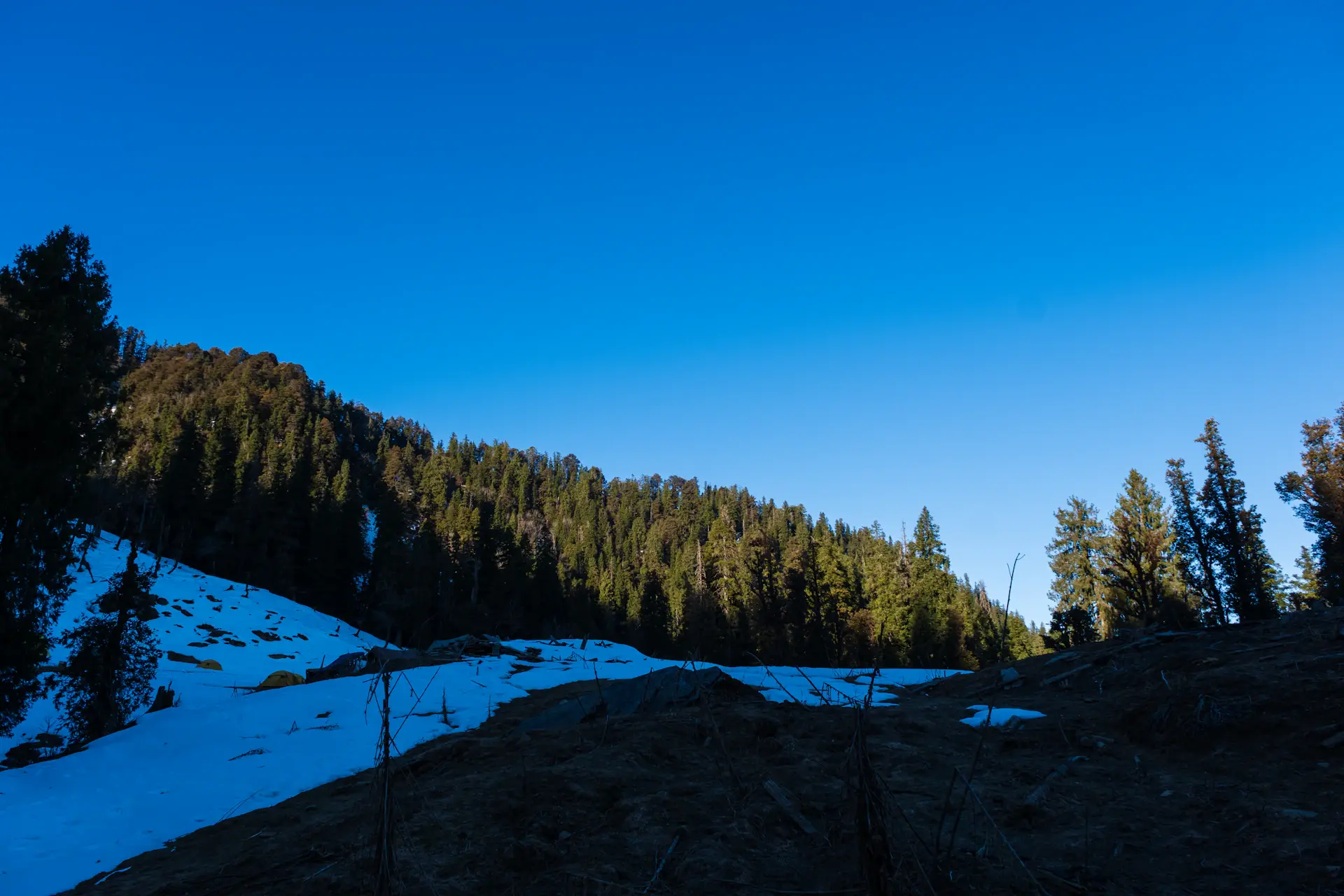 Fresh snow dusting dark pine slopes below a summit