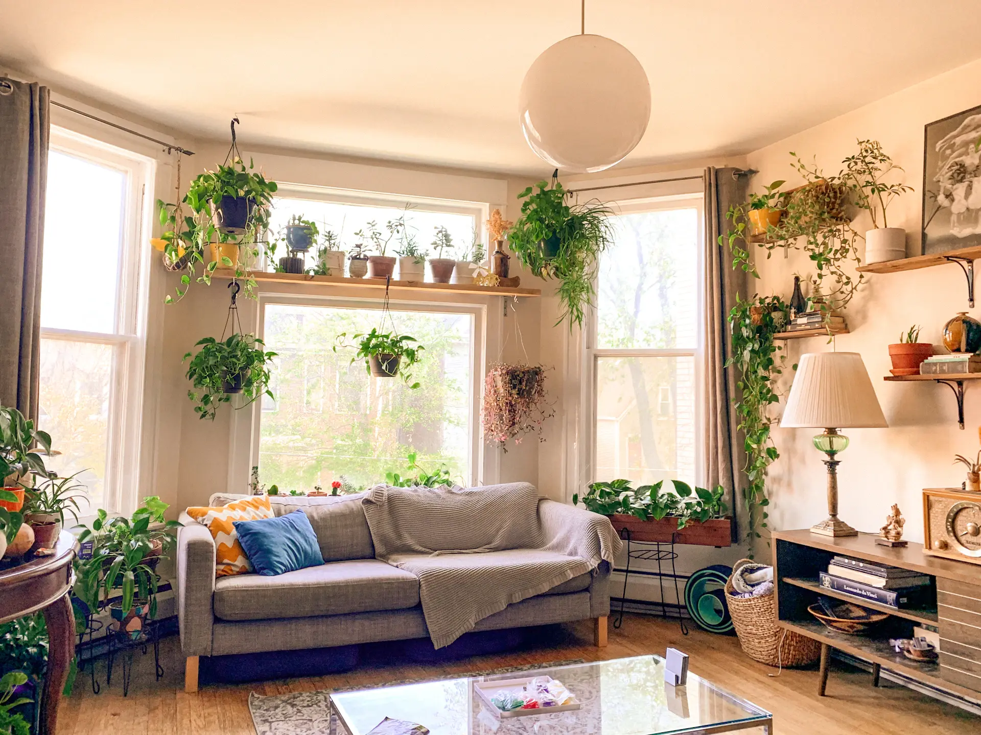 Sunlit living room layered with plants of varying heights and textures