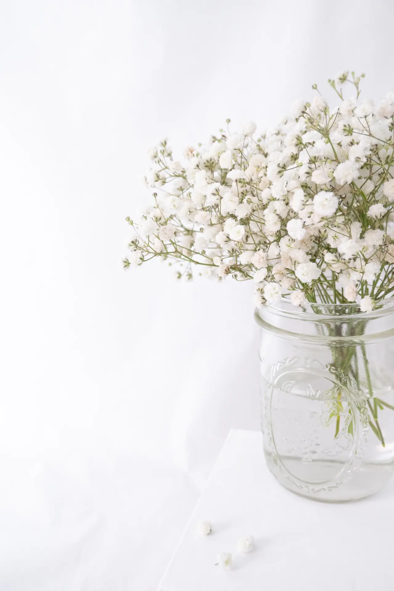 Minimal preserved rose collaboration edition