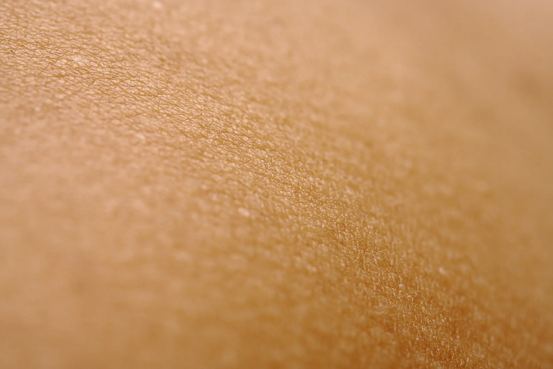 Làn da trước khi dùng — tuần 0
