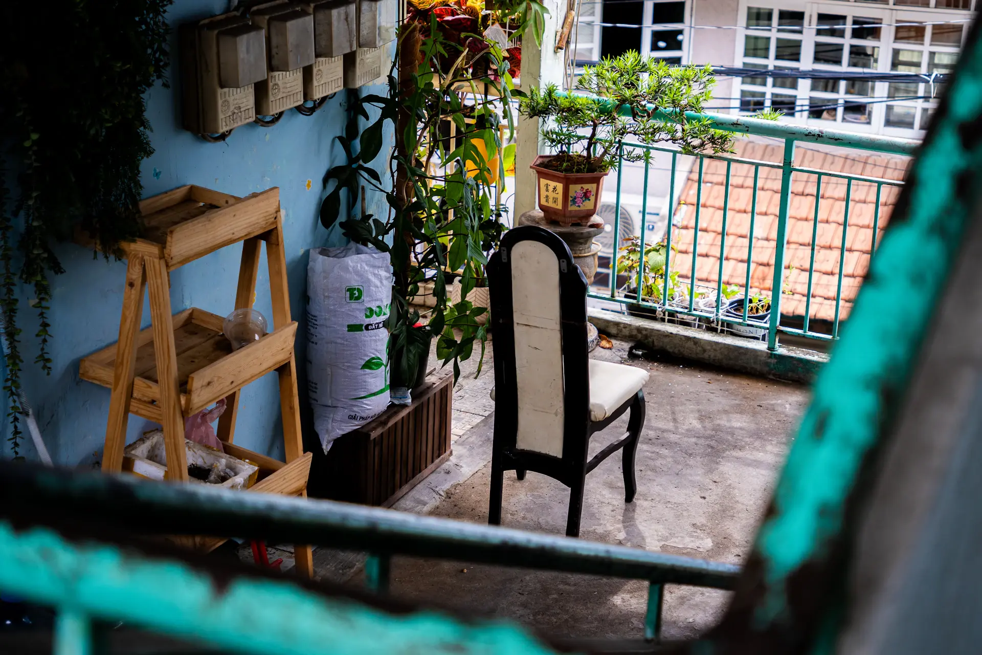 Small balcony styled into a green retreat with layered plants