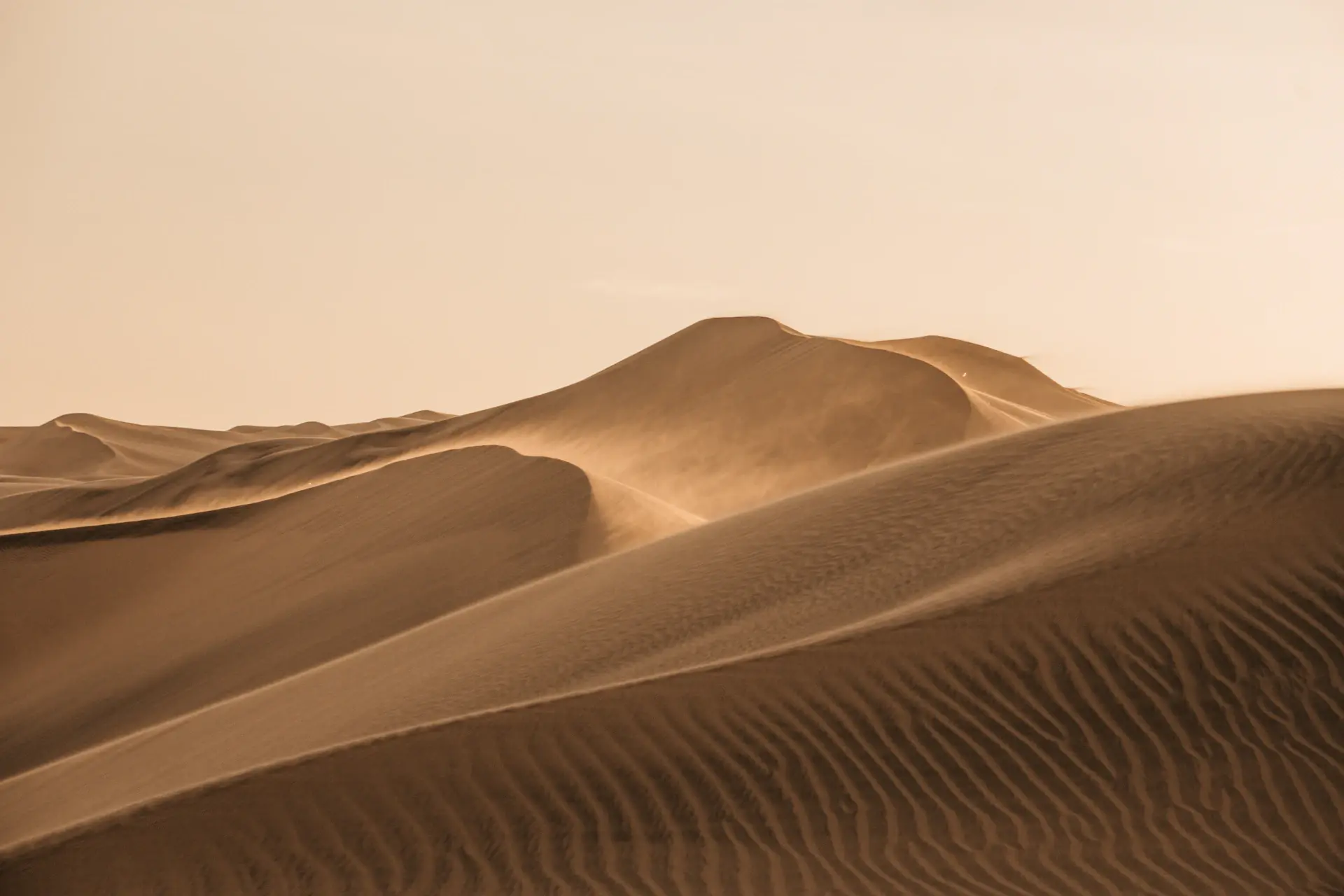 Sculpted desert dunes under soft golden side light