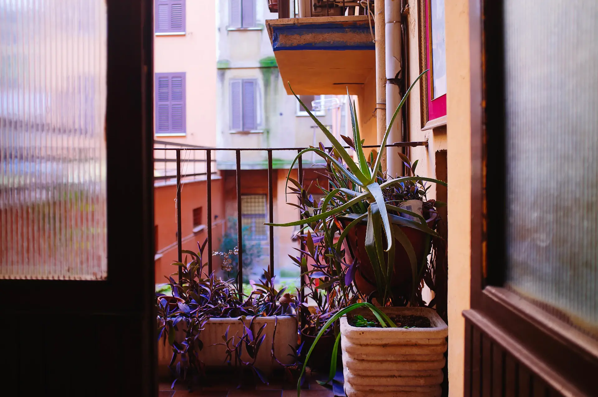 Small balcony styled into a green retreat with plants