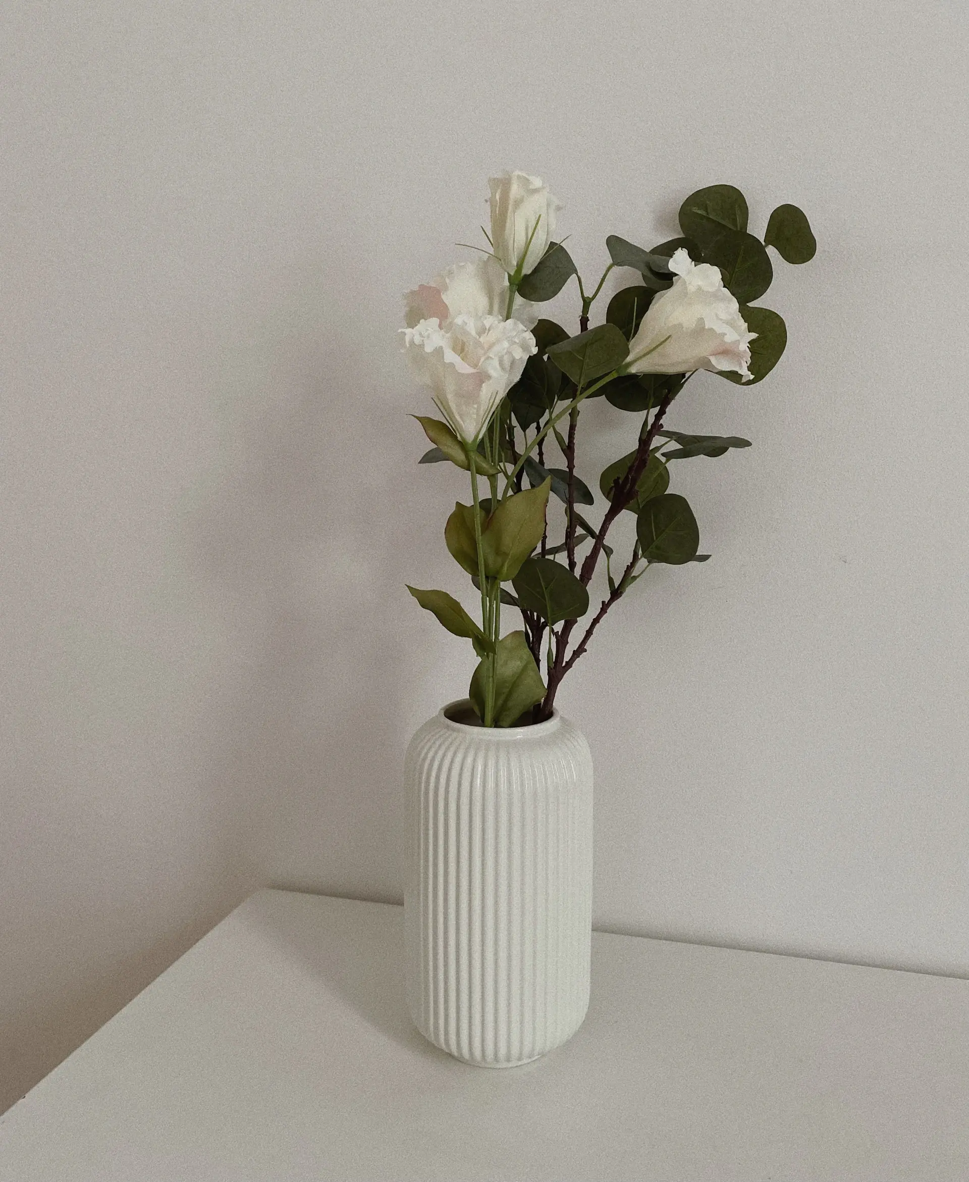 A single white rose on a bright ground