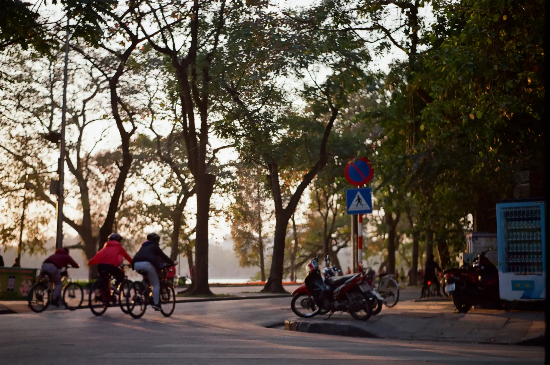 Hoạt động ngoài trời tại công viên trong thành phố
