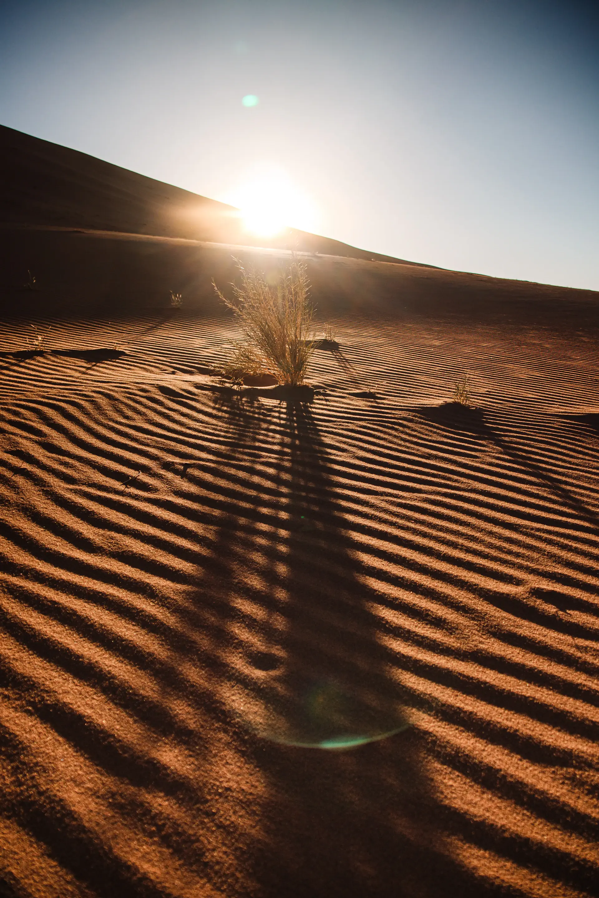 Wind-carved desert dunes under low golden light