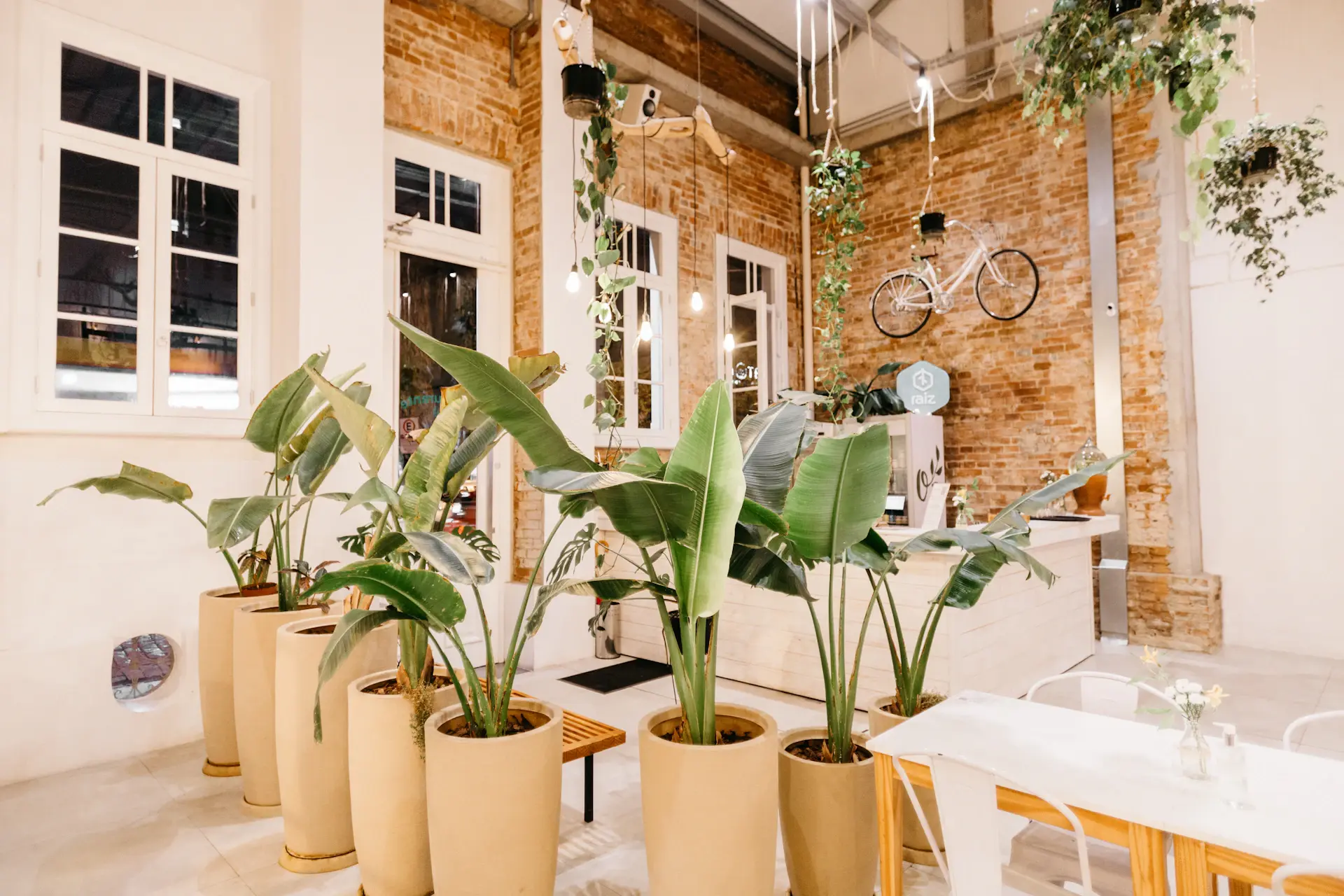 Product launch venue dressed with rented potted plants and greenery