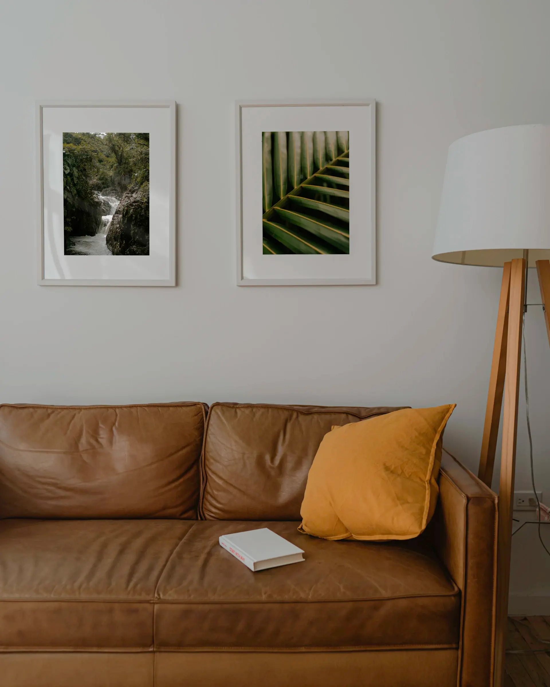 Framed limited edition prints