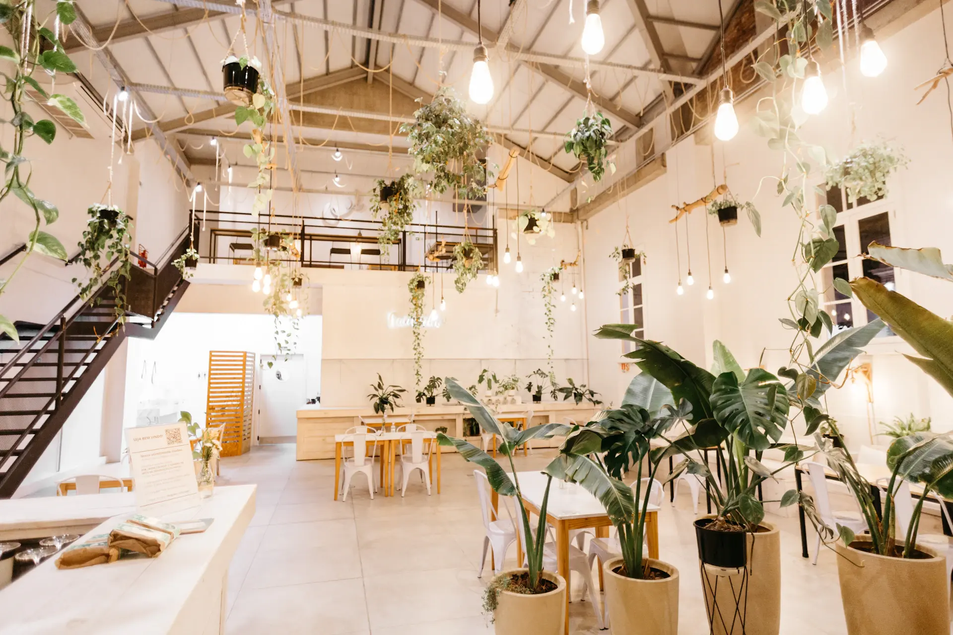 Cosy café interior dressed with hanging plants and potted greenery