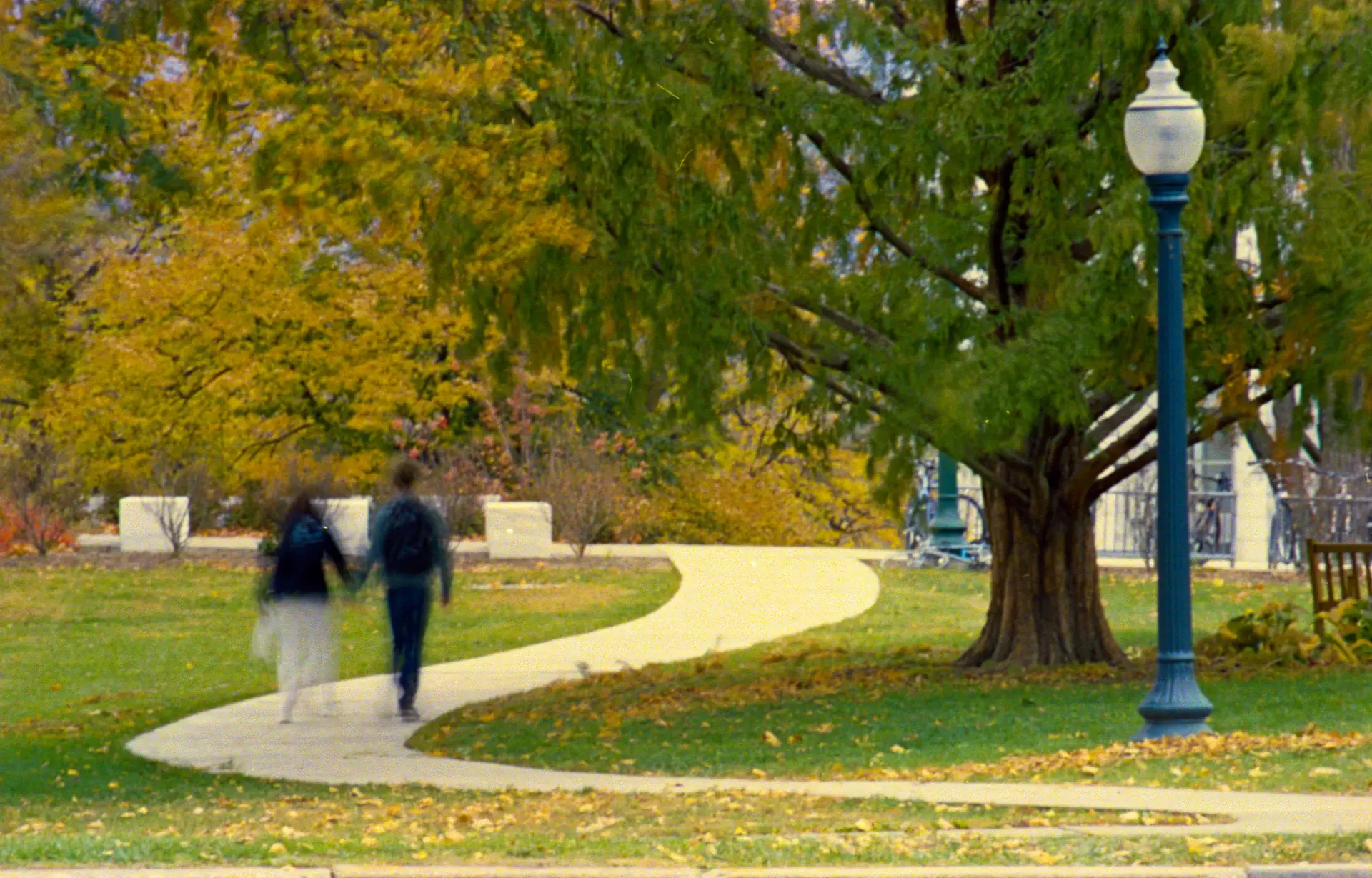 Student walking through a tree-lined campus path