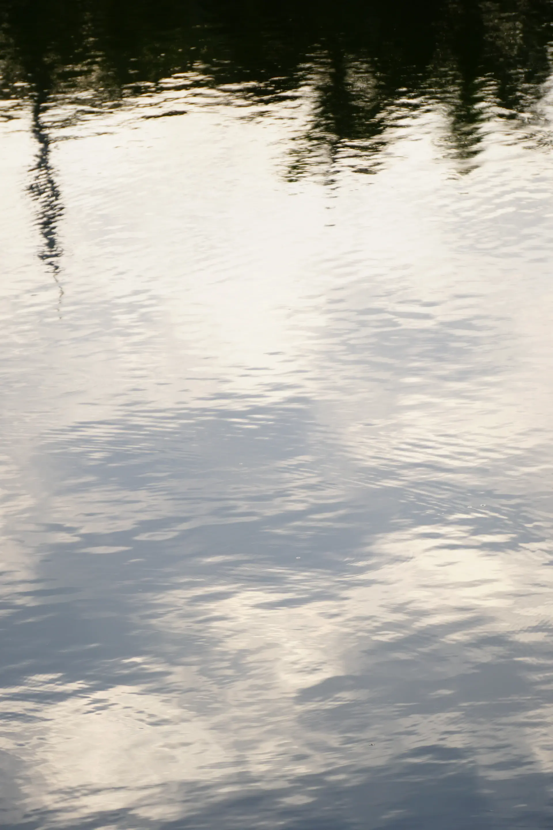 Perfectly still lake mirroring a pale dawn sky
