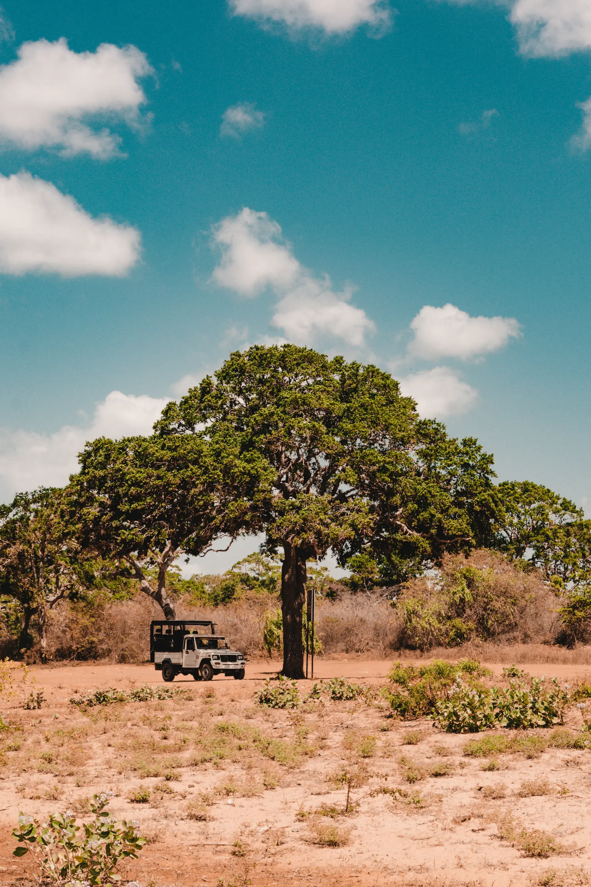 A private safari camp overlooking golden plains at first light