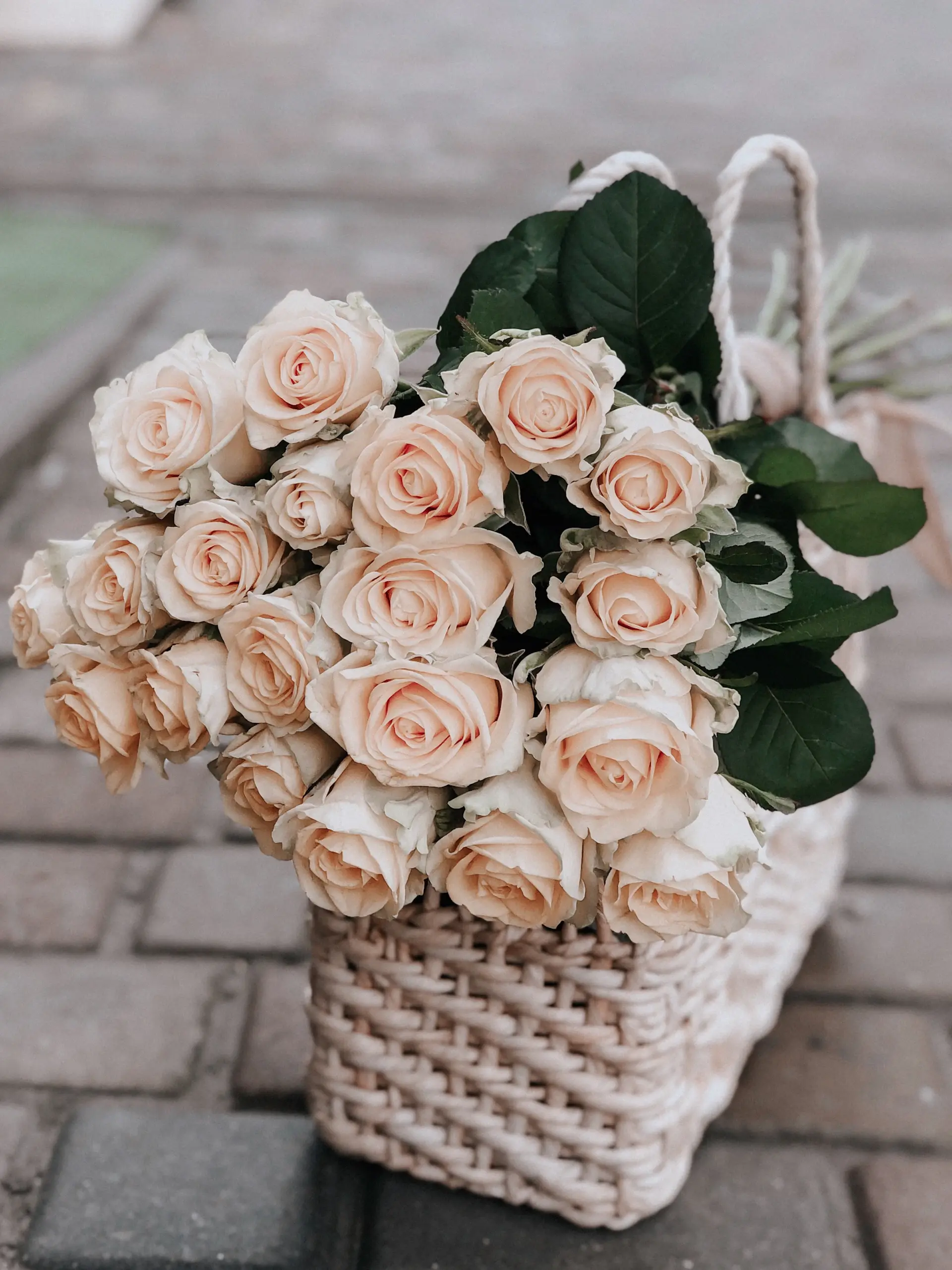 Bộ sưu tập hoa hồng champagne Kỷ niệm của Rose Lumière