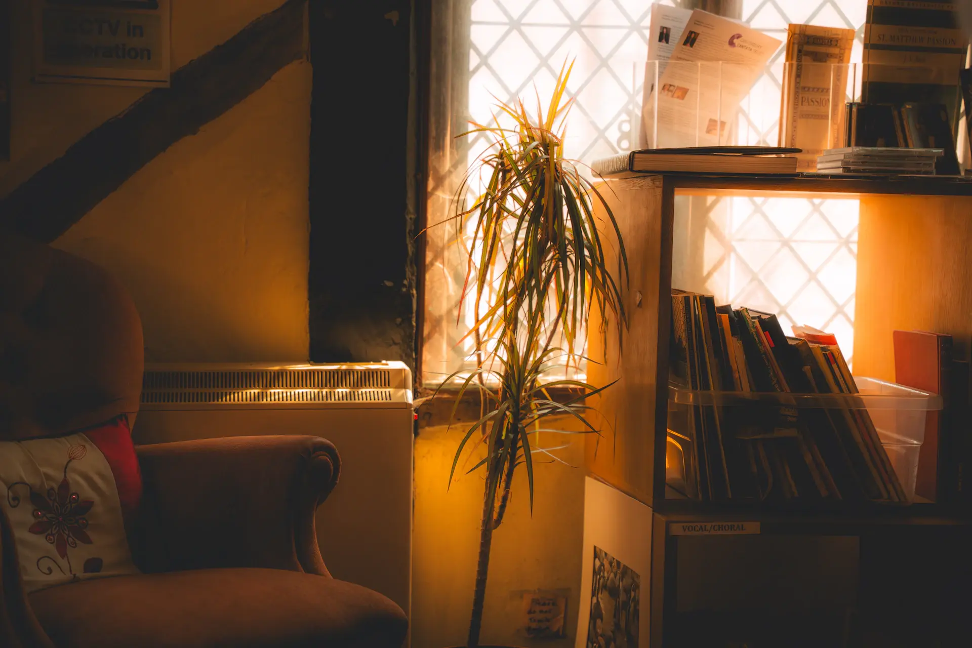 Sunlit private library with a single armchair and ledger