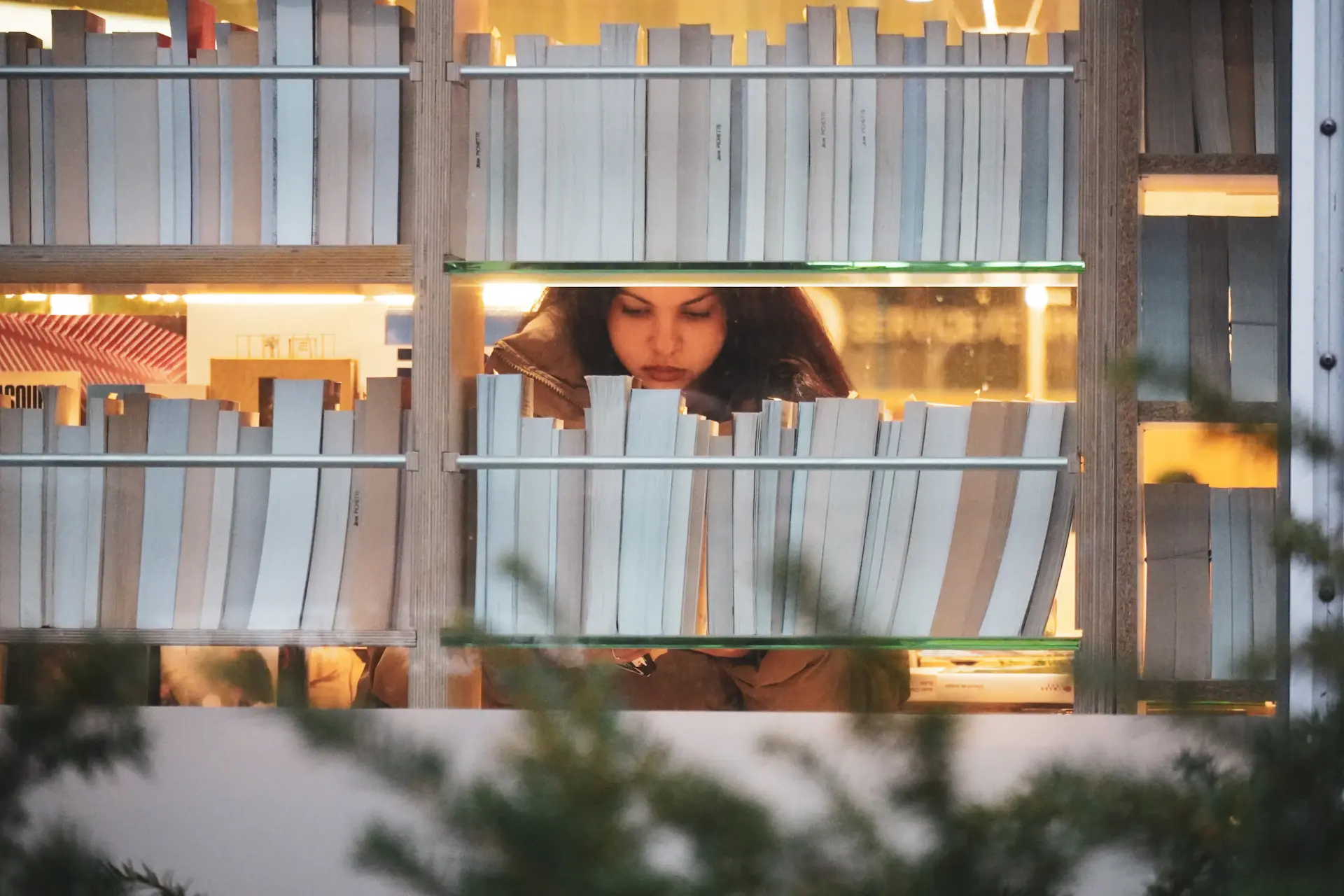 Student studying in a cozy library nook