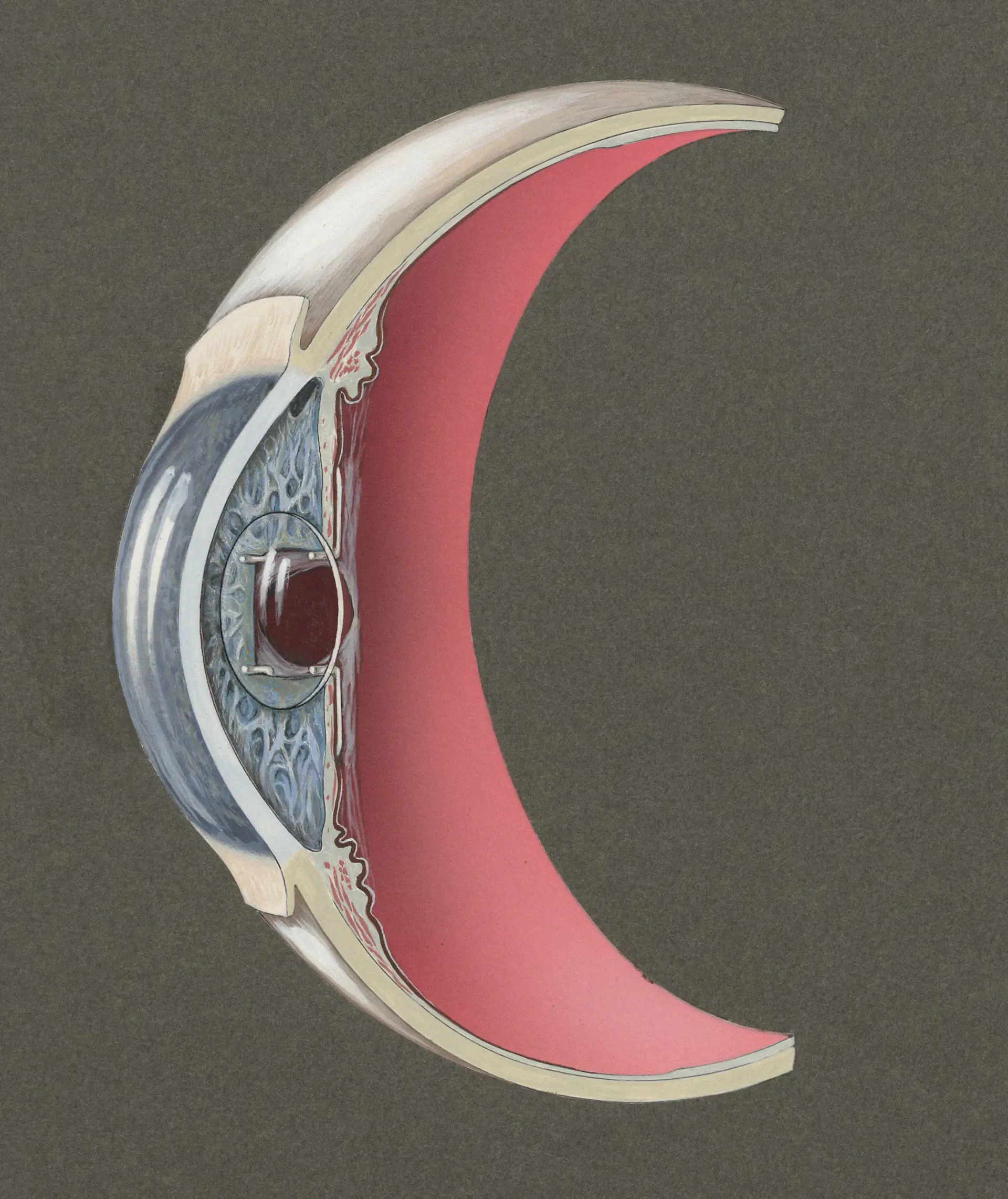 Classique Moonphase 39mm
