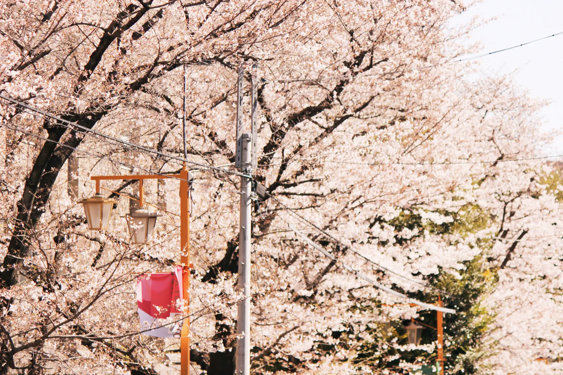 Hành trình du học của Nguyễn Minh tại Tokyo
