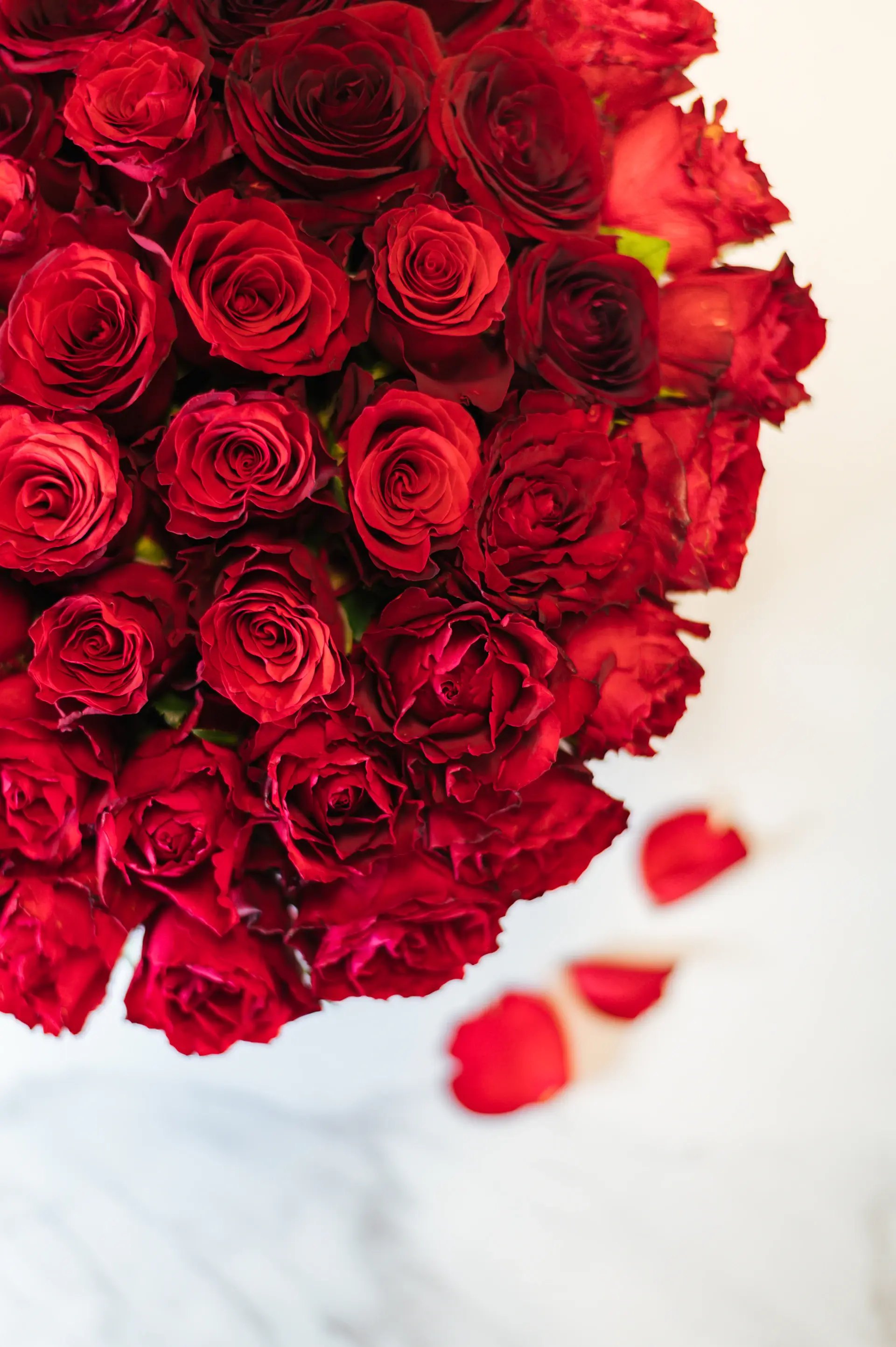 Roses for anniversaries