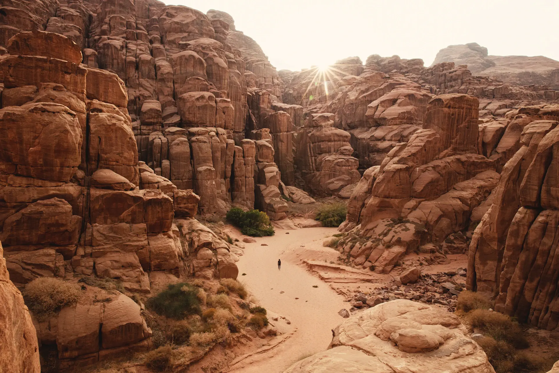 Sharp wind-carved ridge along a tall sand dune