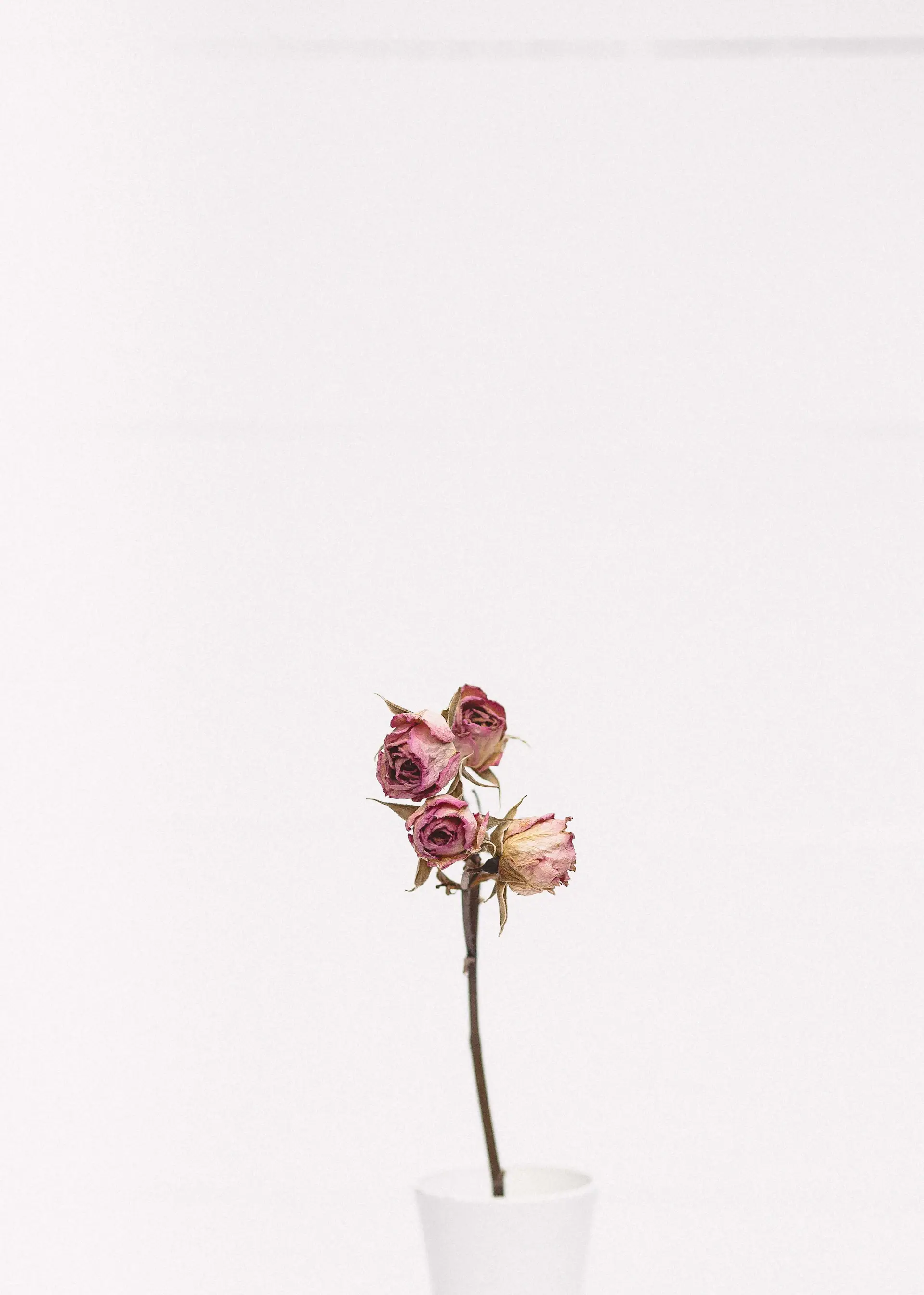 Sculptural arrangement on a plinth