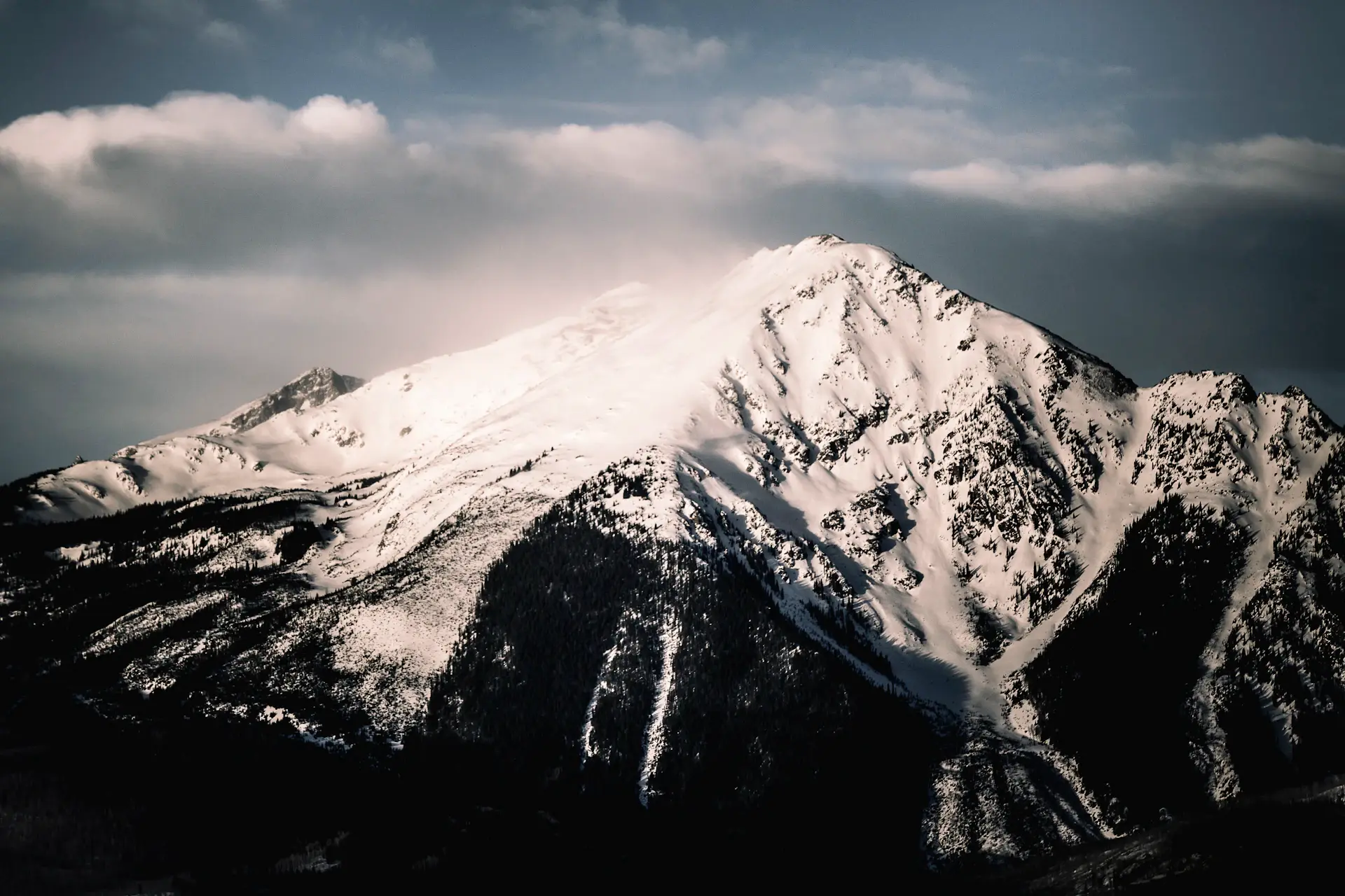 Mountain summit above a sea of cloud
