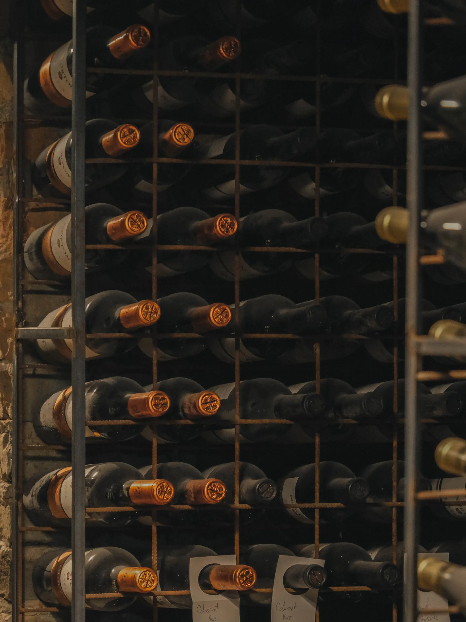 Aged fine wine bottles resting in a private cellar