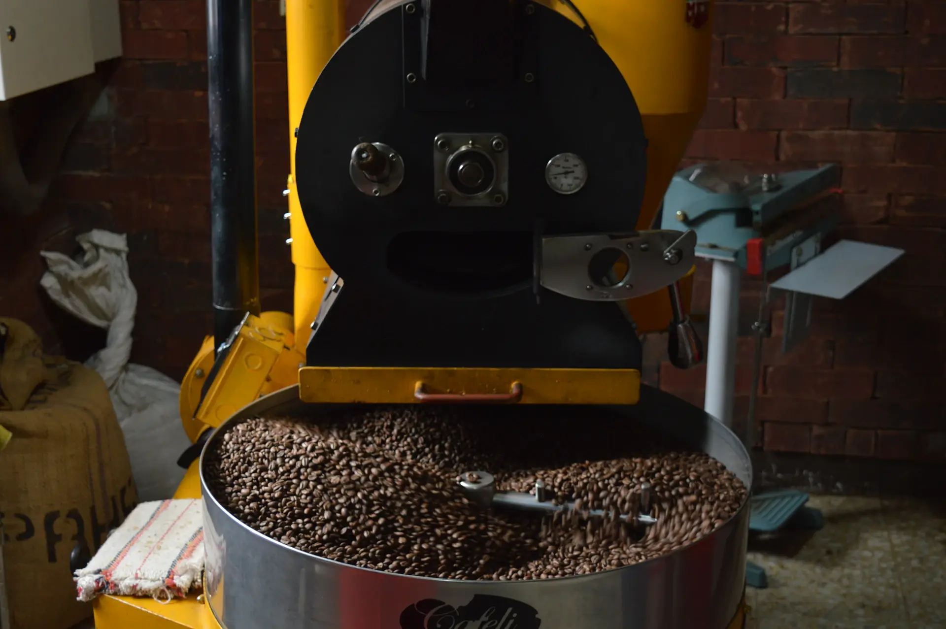 Coffee beans being roasted in a small drum roaster