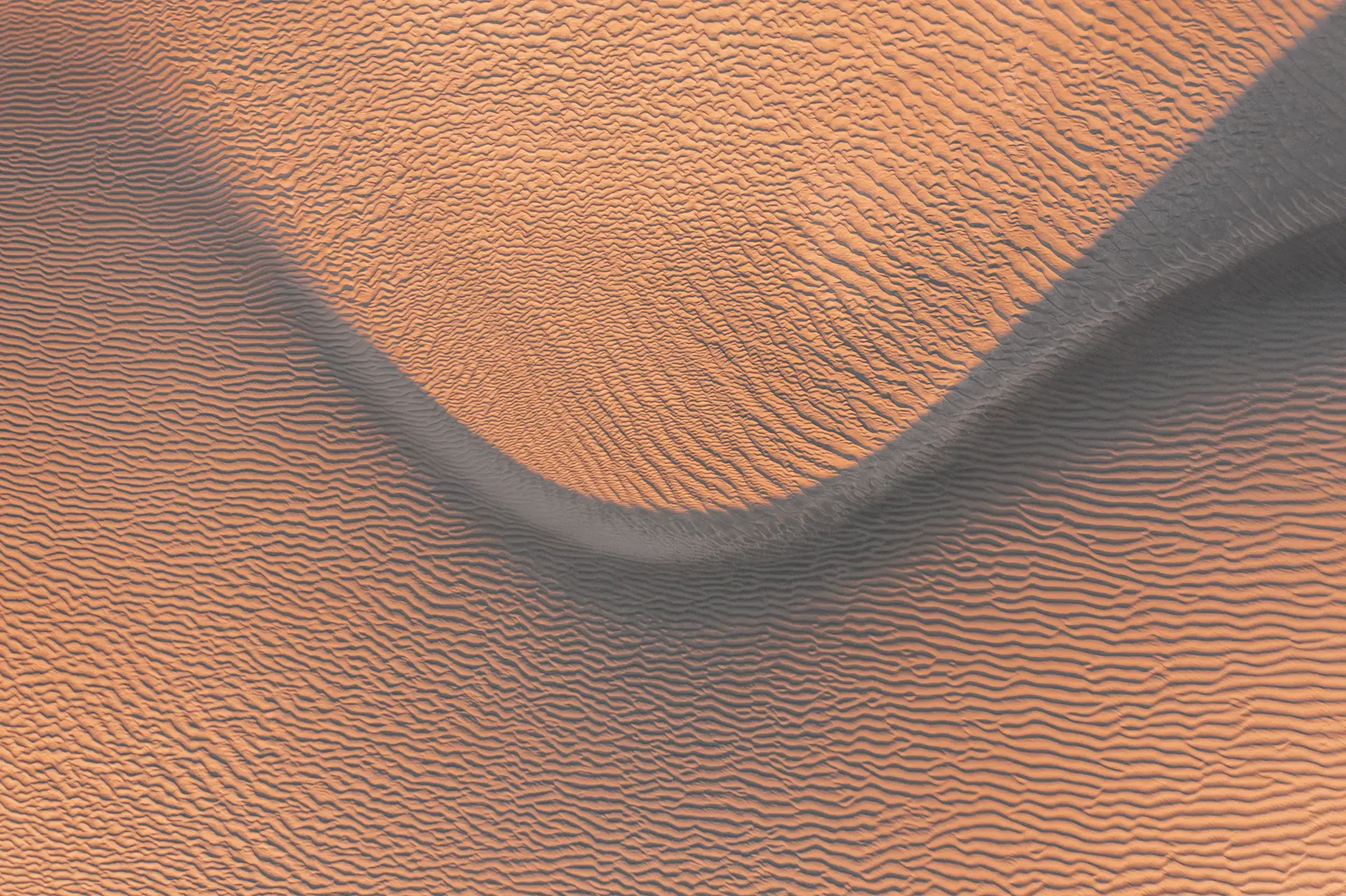 Wind-sculpted ripple patterns across pale desert sand