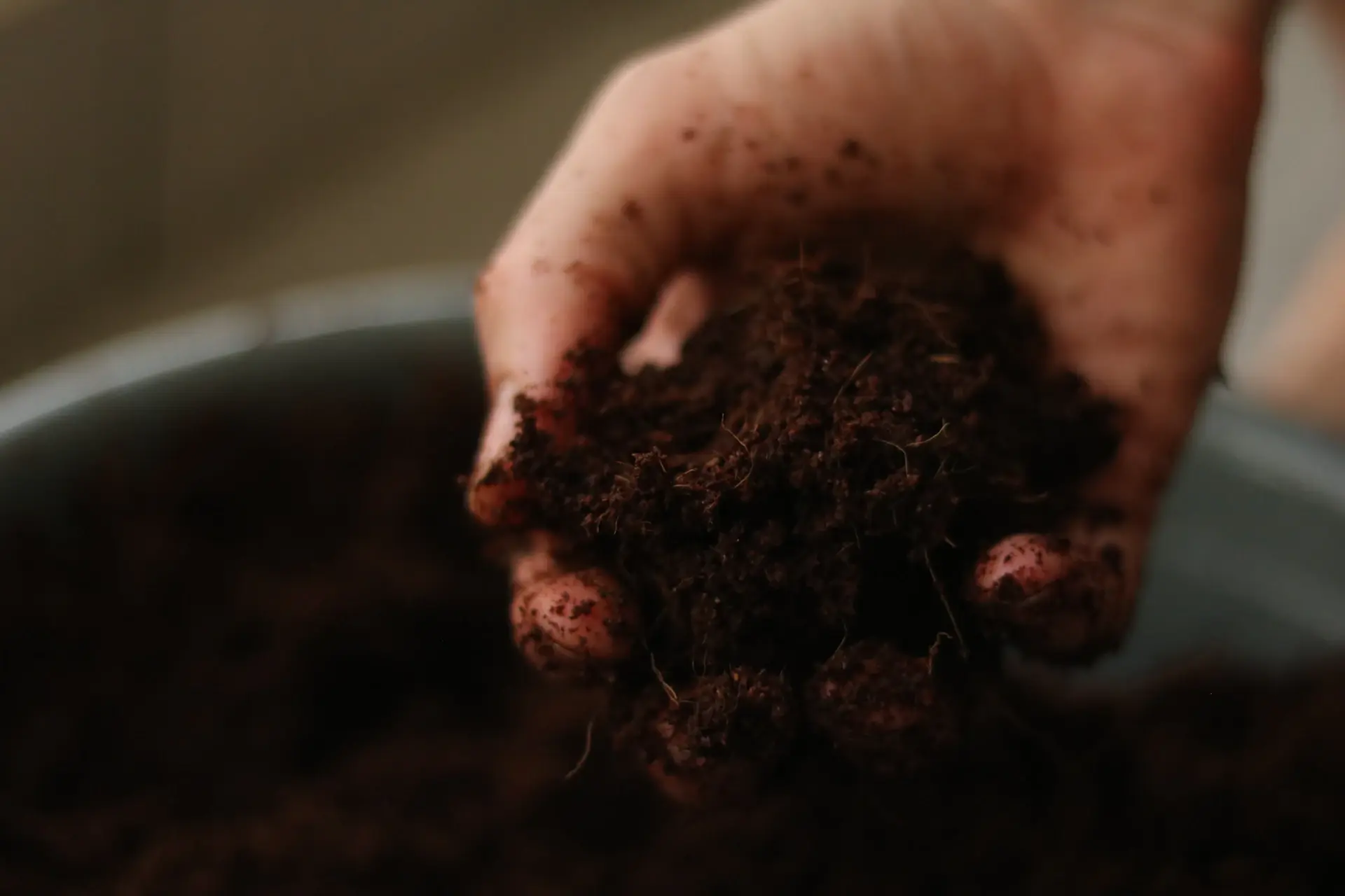 Hands repotting a plant into an eco-friendly pot