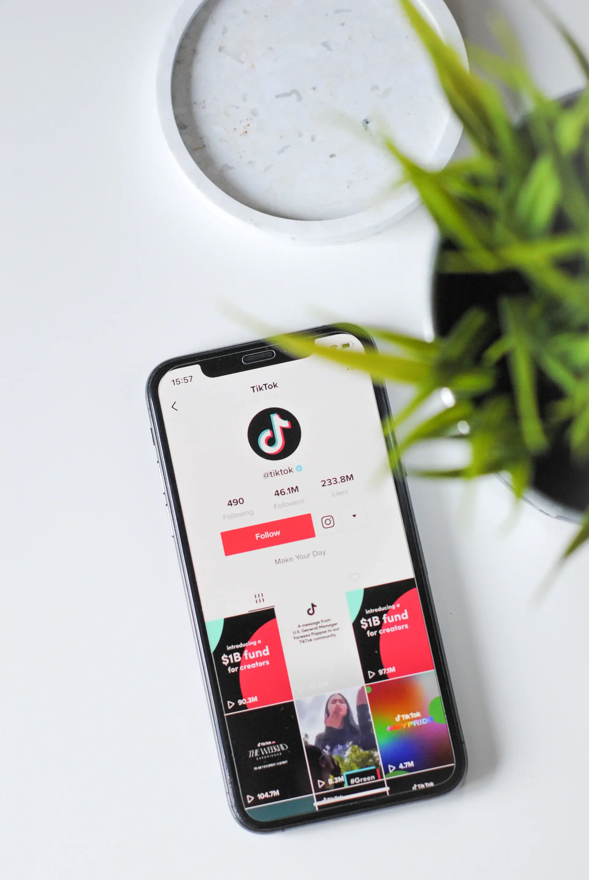 Feed TikTok thương hiệu