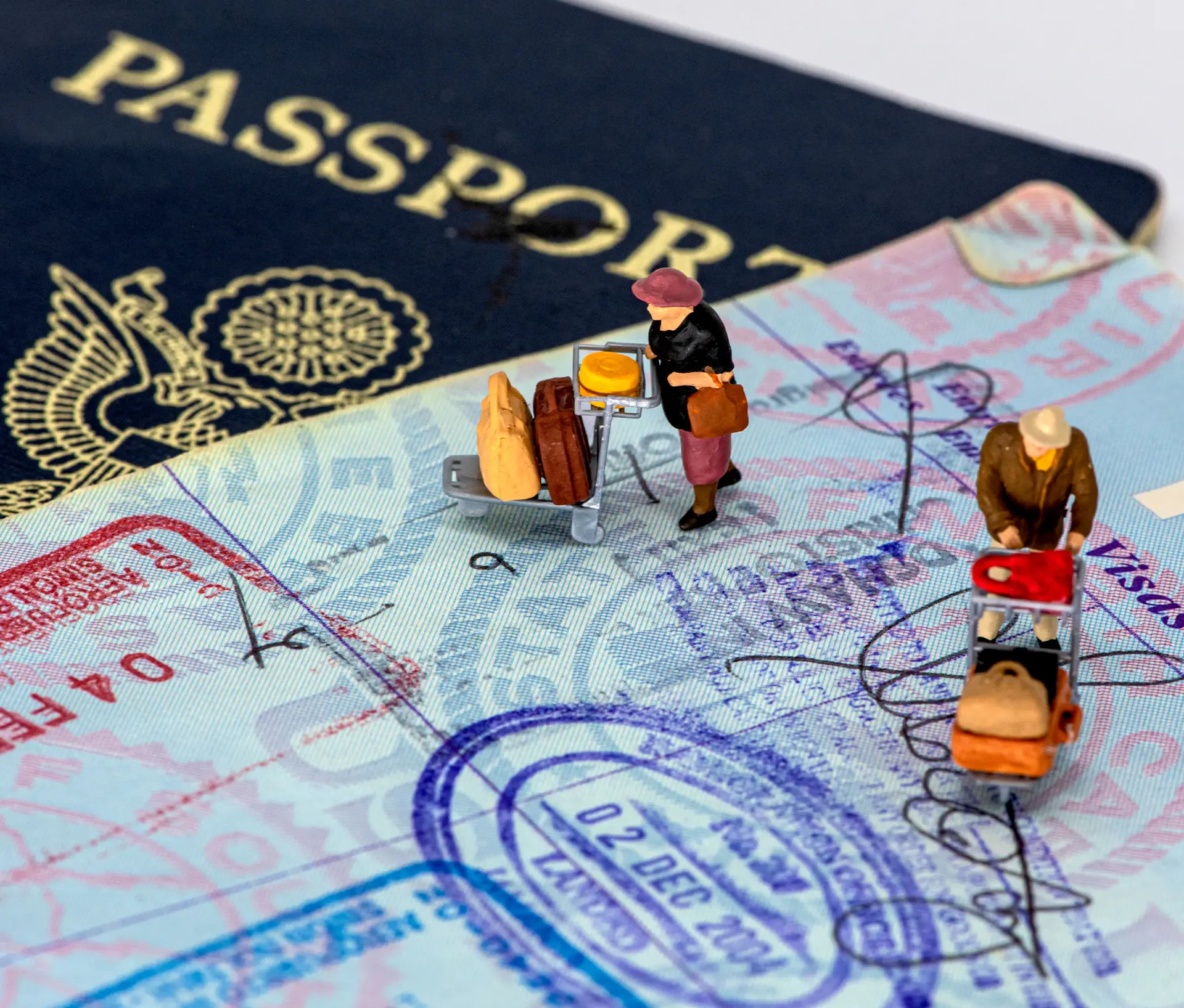 Friendly Elite Pathways visa advisor
