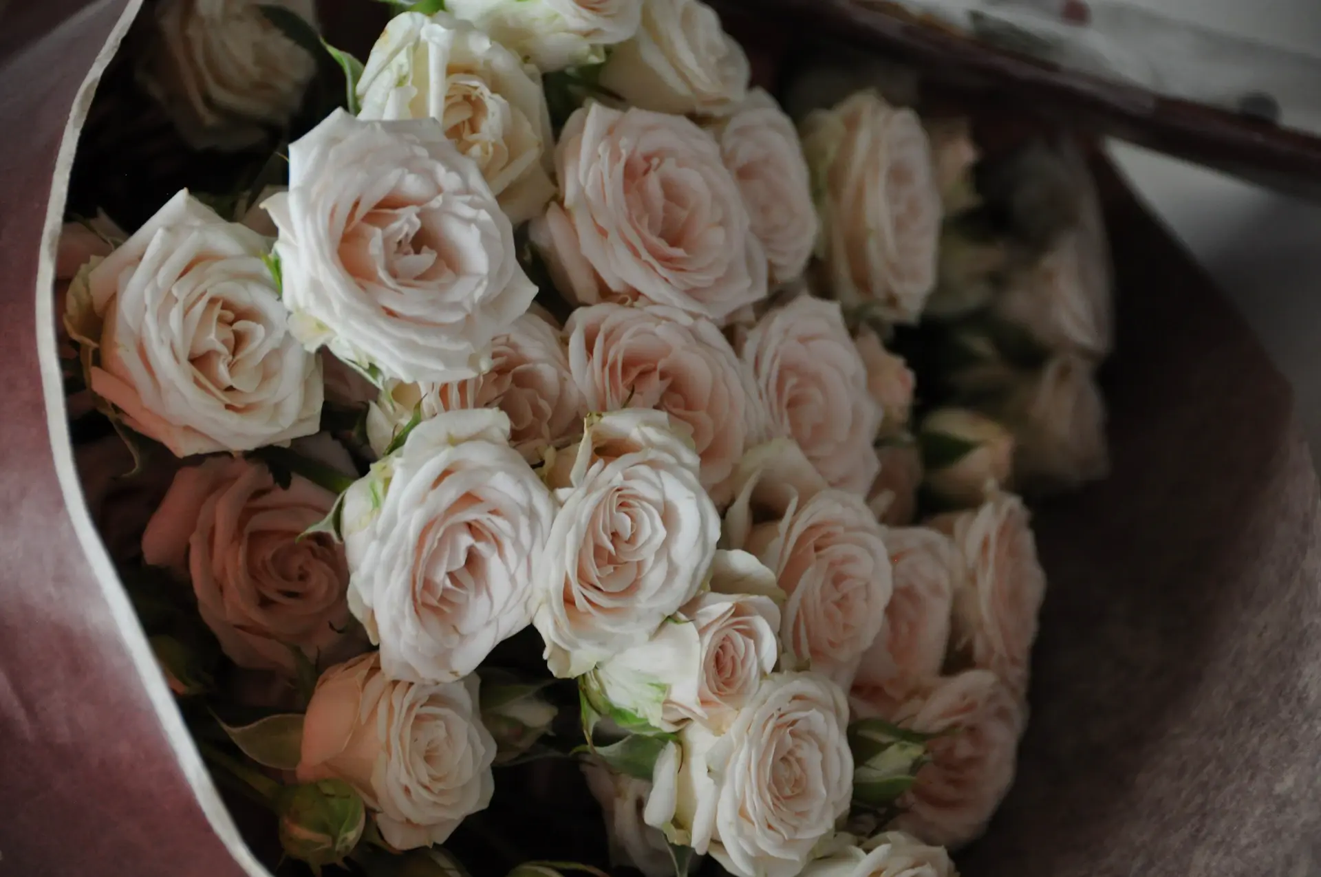 Cinematic wide composition of white roses across a pale gallery wall