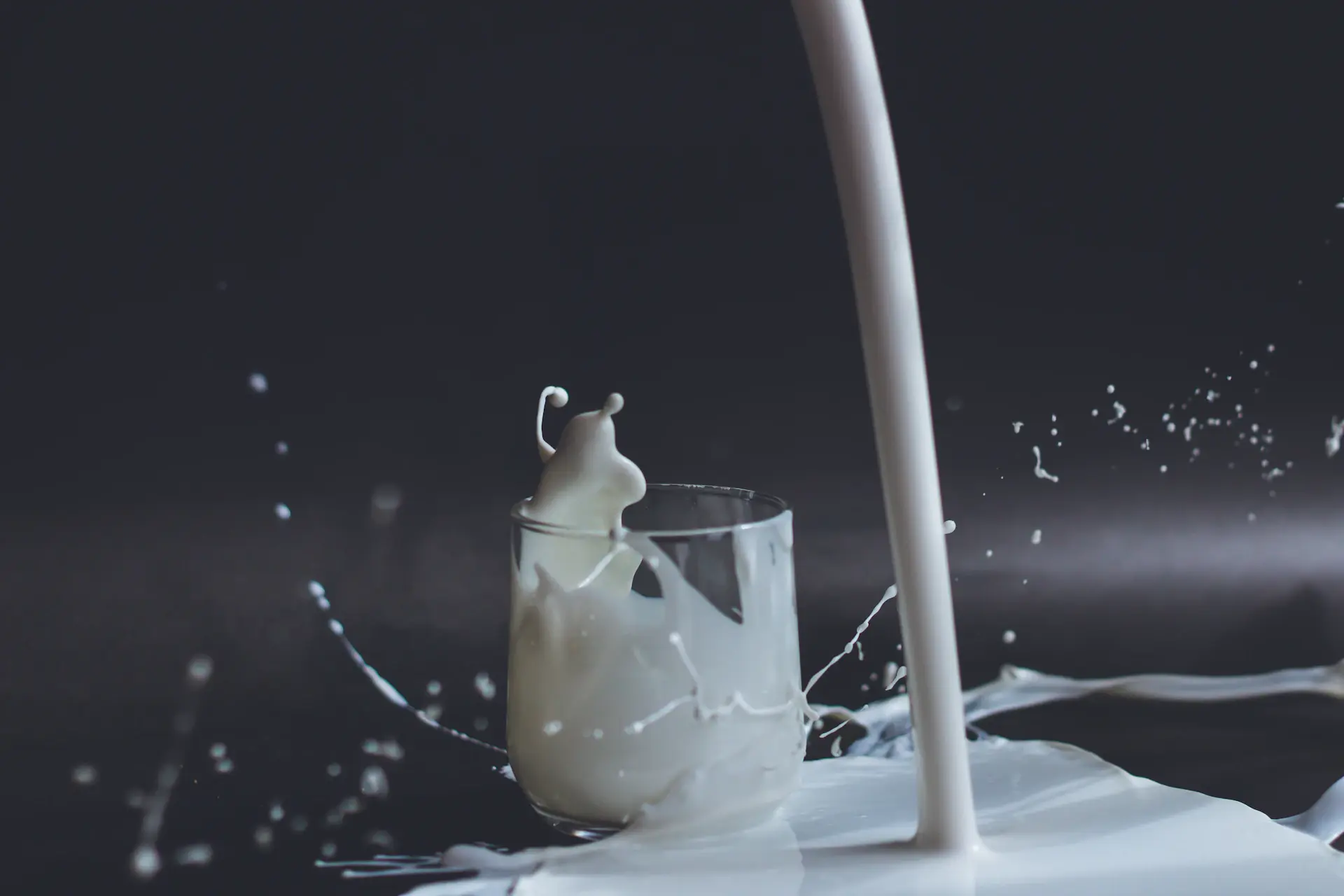 Vinamilk global SEO case study