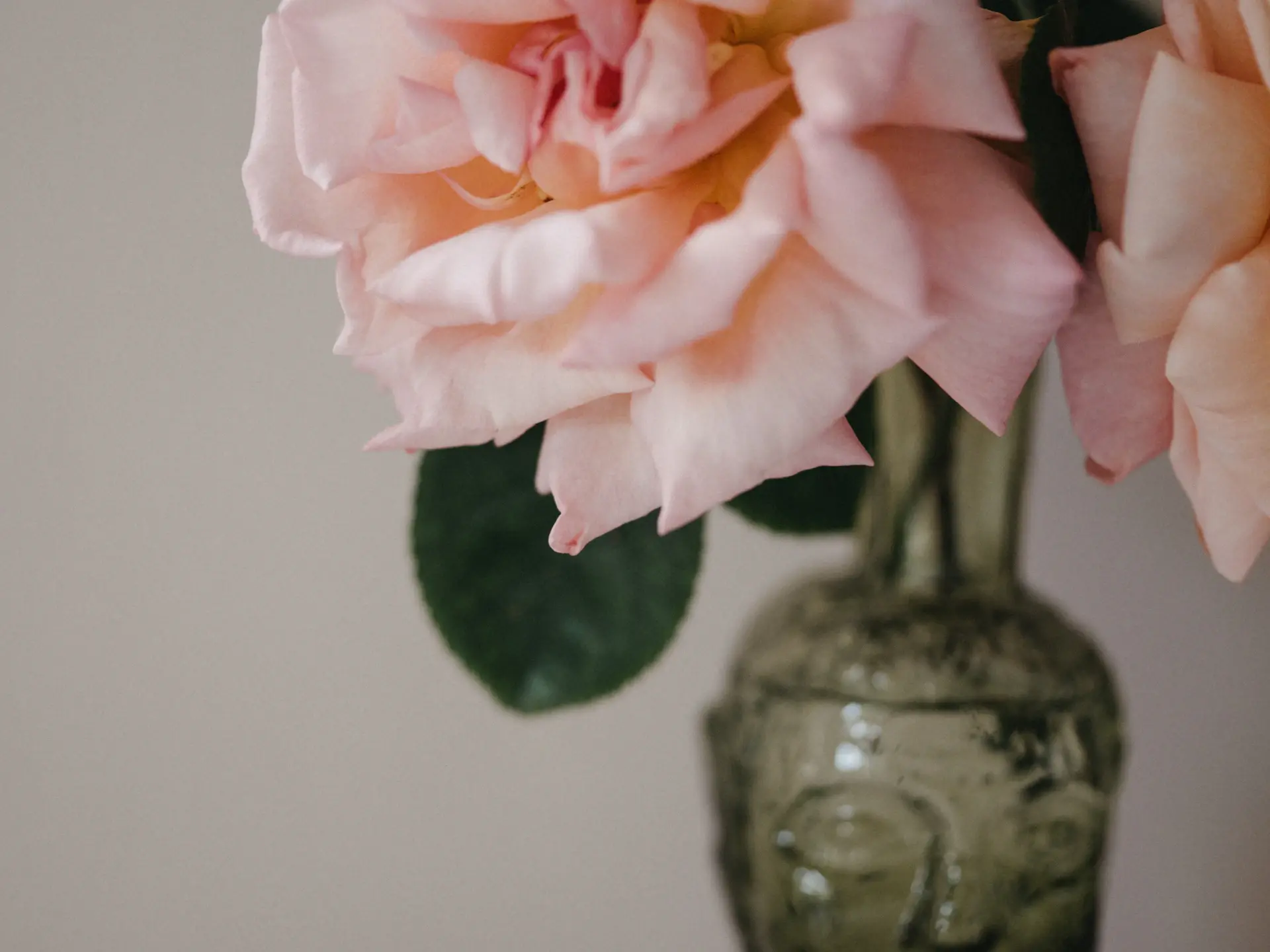 Secrets to keeping roses fresh longer