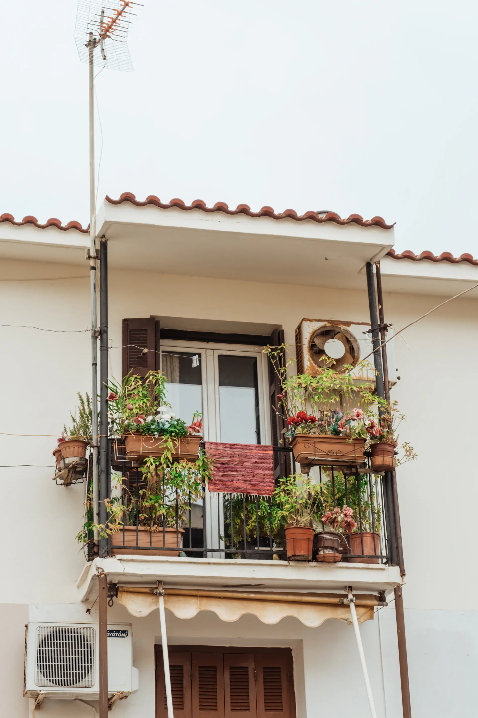 Sunny balcony filled with potted plants