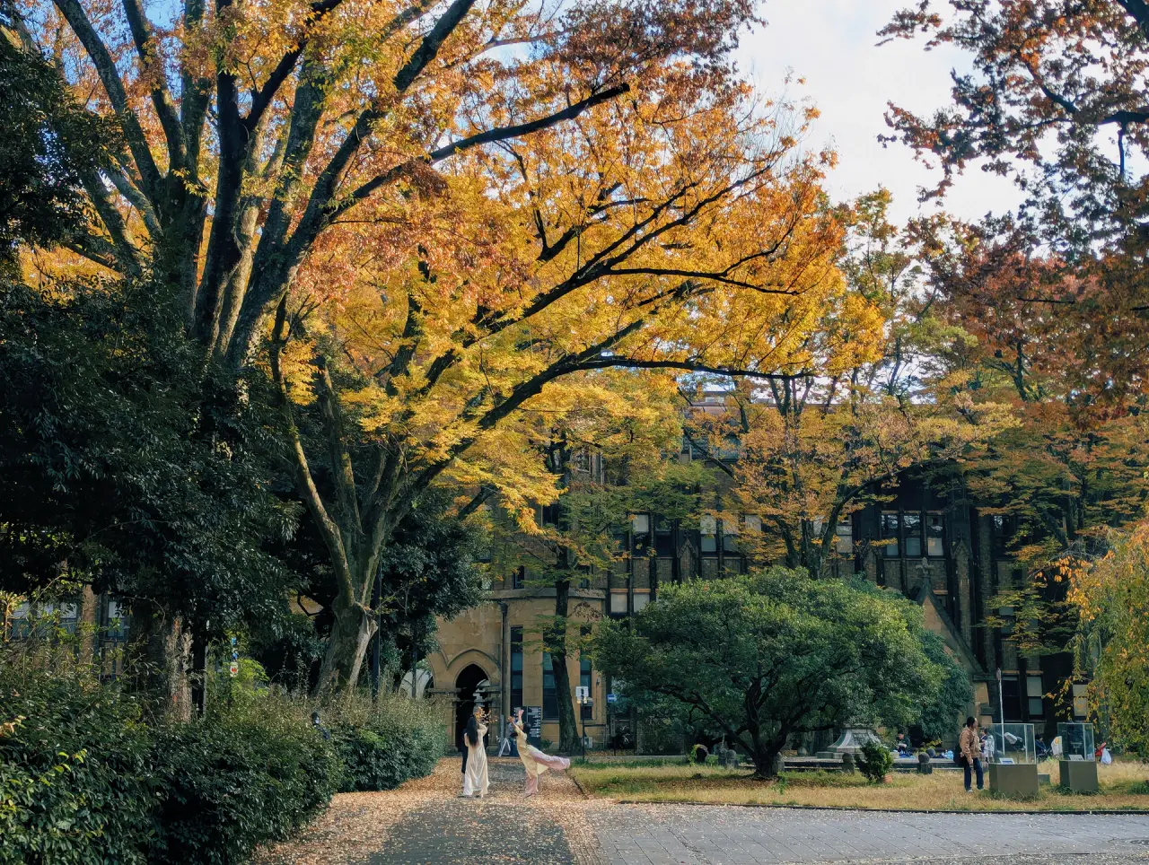 International student walking across a university campus in autumn