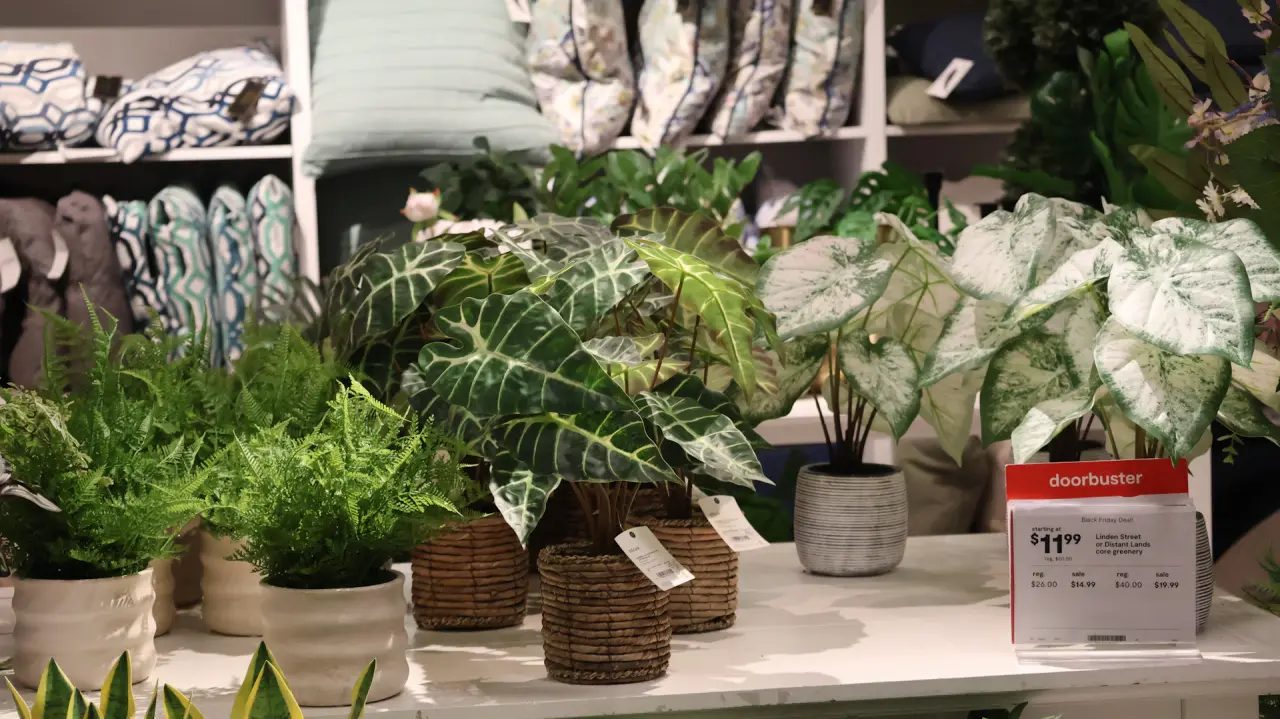 Showroom
