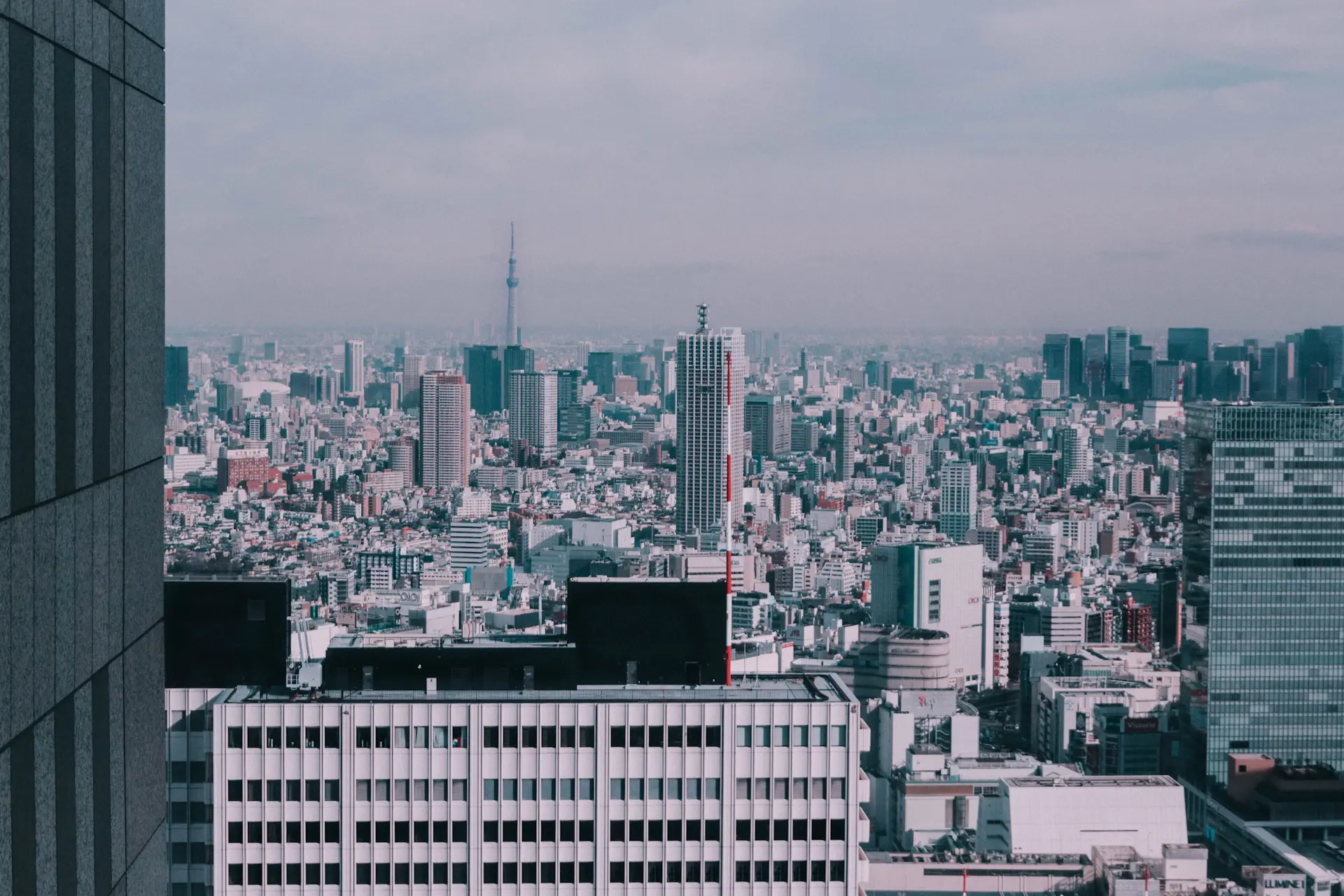 Bạn trẻ làm việc trong văn phòng hiện đại tại Tokyo