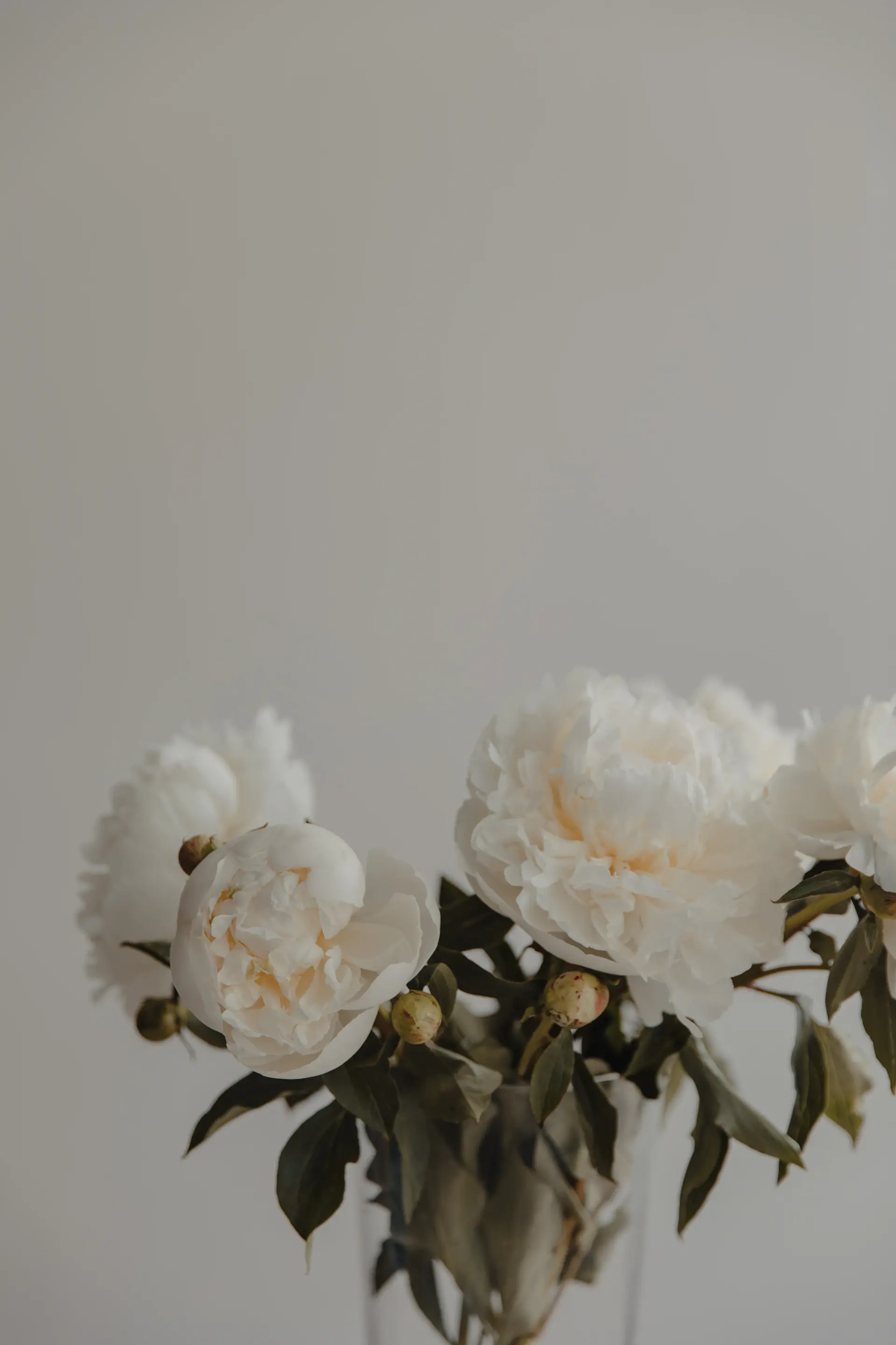 Minimal rose table setting