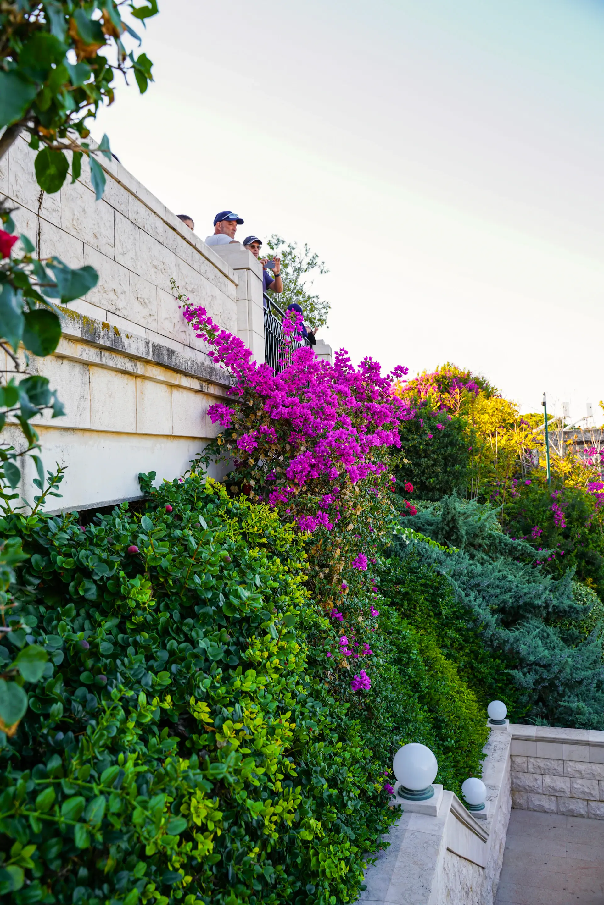A bride walking through a rose-filled garden terrace