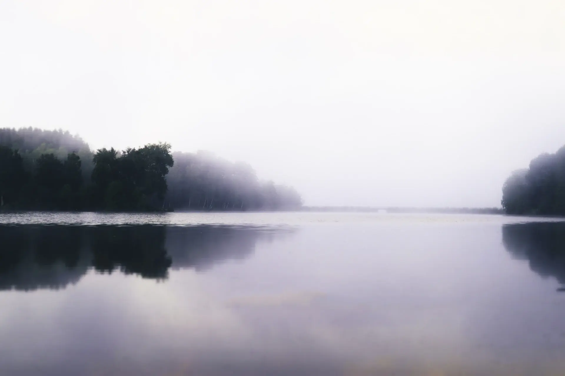 A still, mist-softened lake at dawn surrounded by silent forest