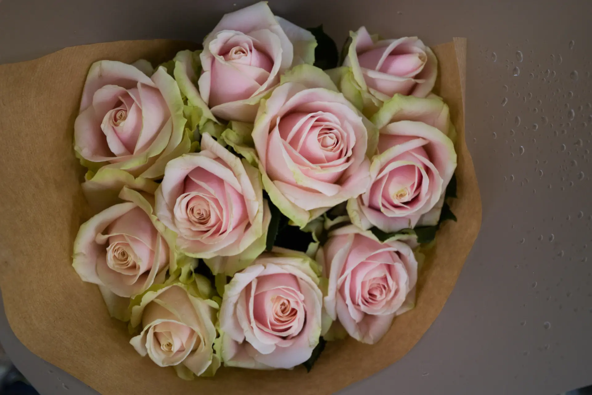 Preserved roses in a signature box