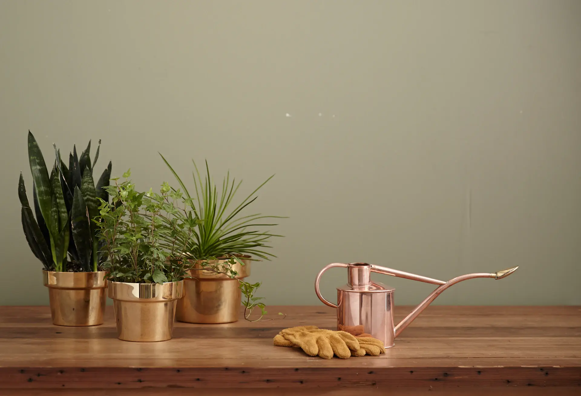 Curated plant gift boxes with potted plants, cards and natural wrapping