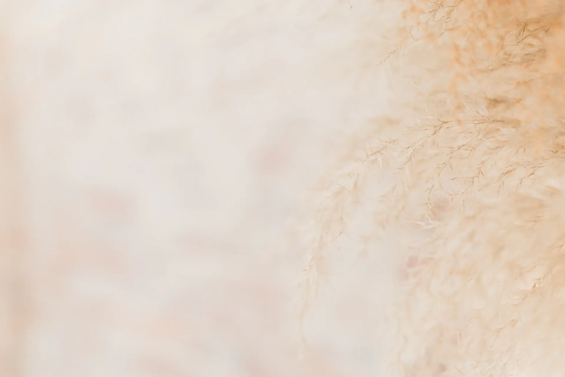 Da có đốm nâu close-up