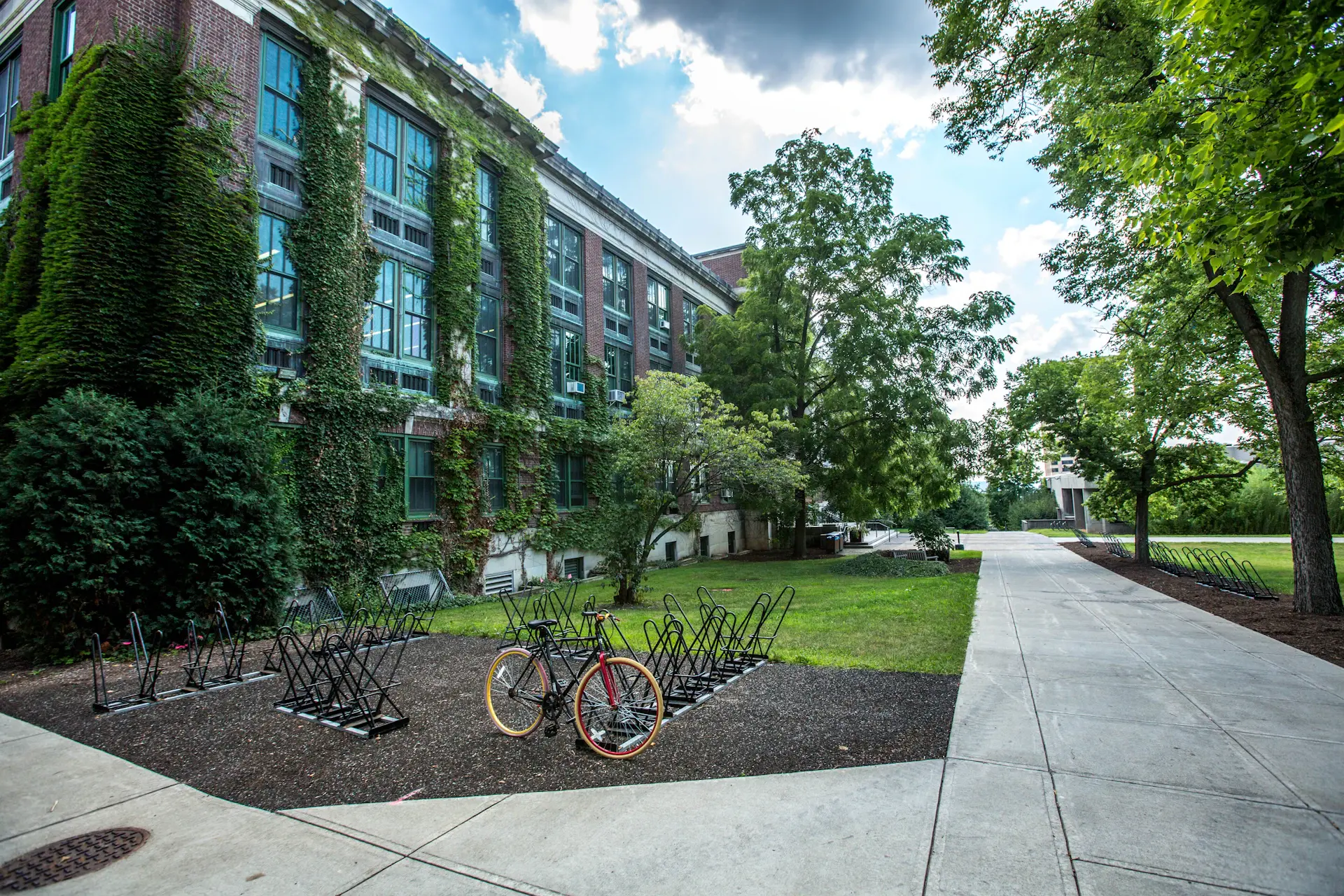 International dormitory commons