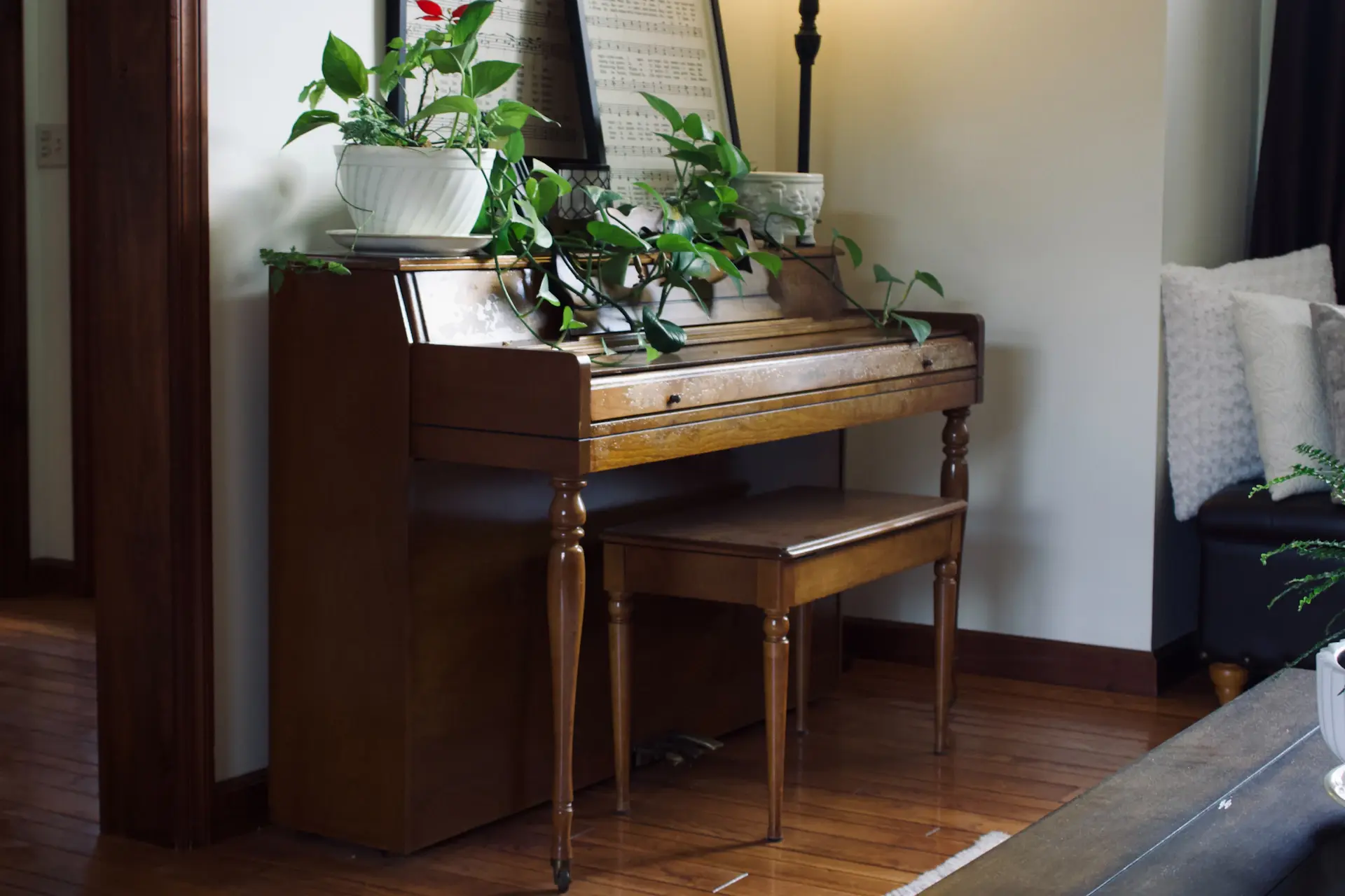 Sảnh showroom với grand piano