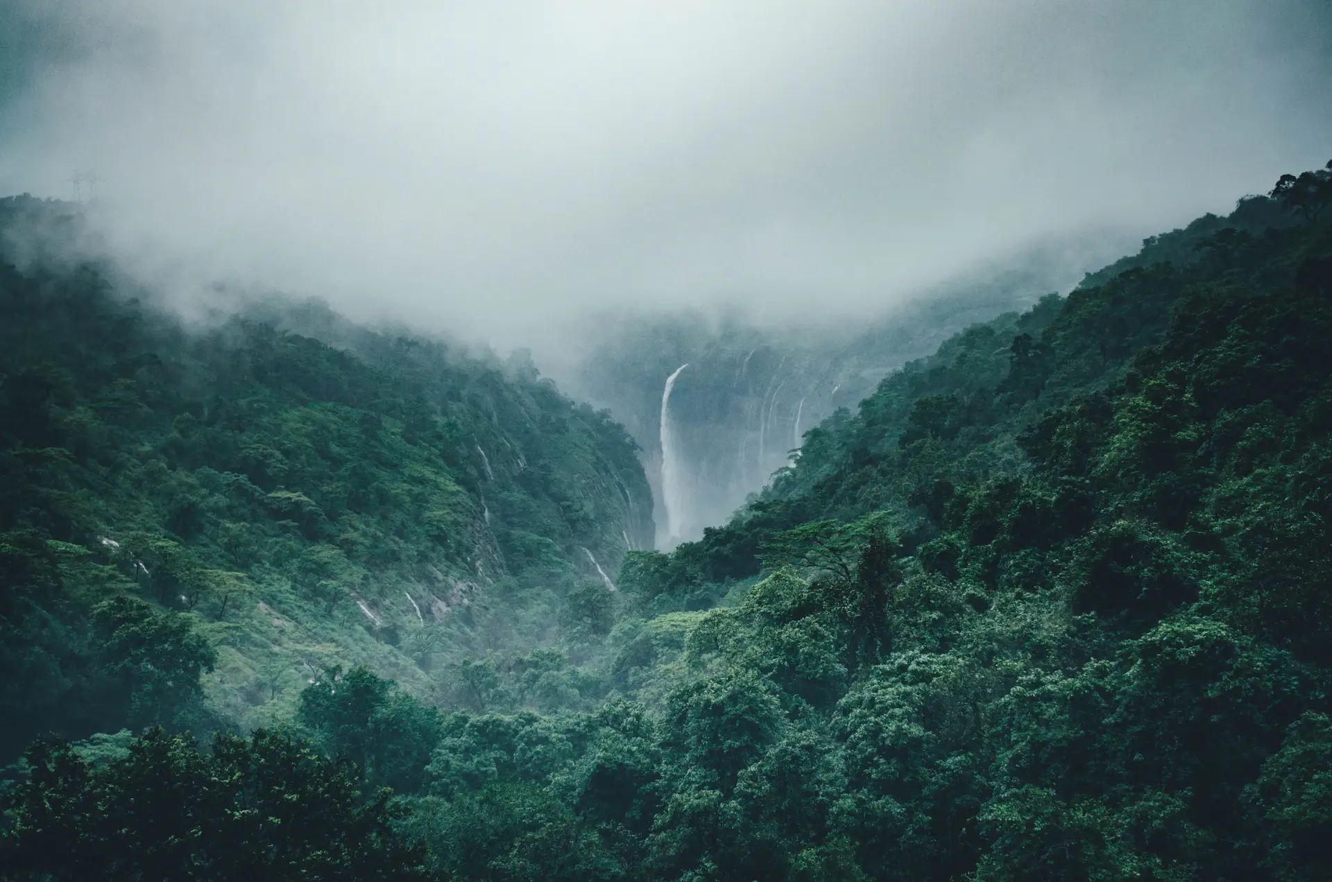 Cascade pouring through green rainforest mist